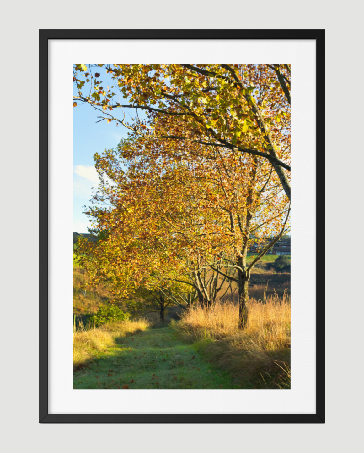Embrace of Autumn Artwork.png