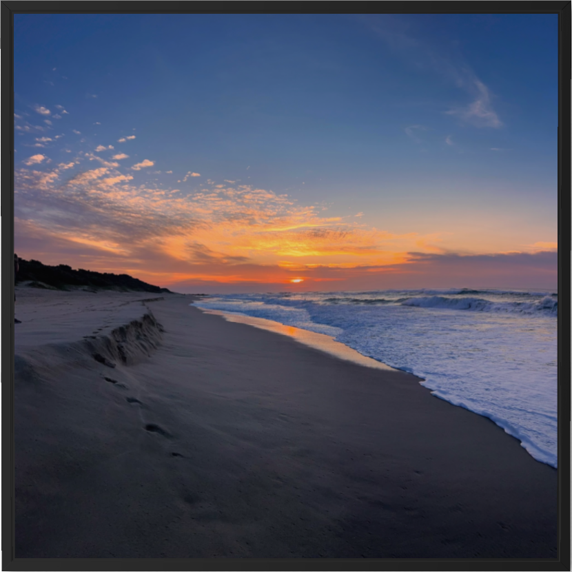 20260716-SA Seascapes-Reflections of First Light ARTWORK 01.png