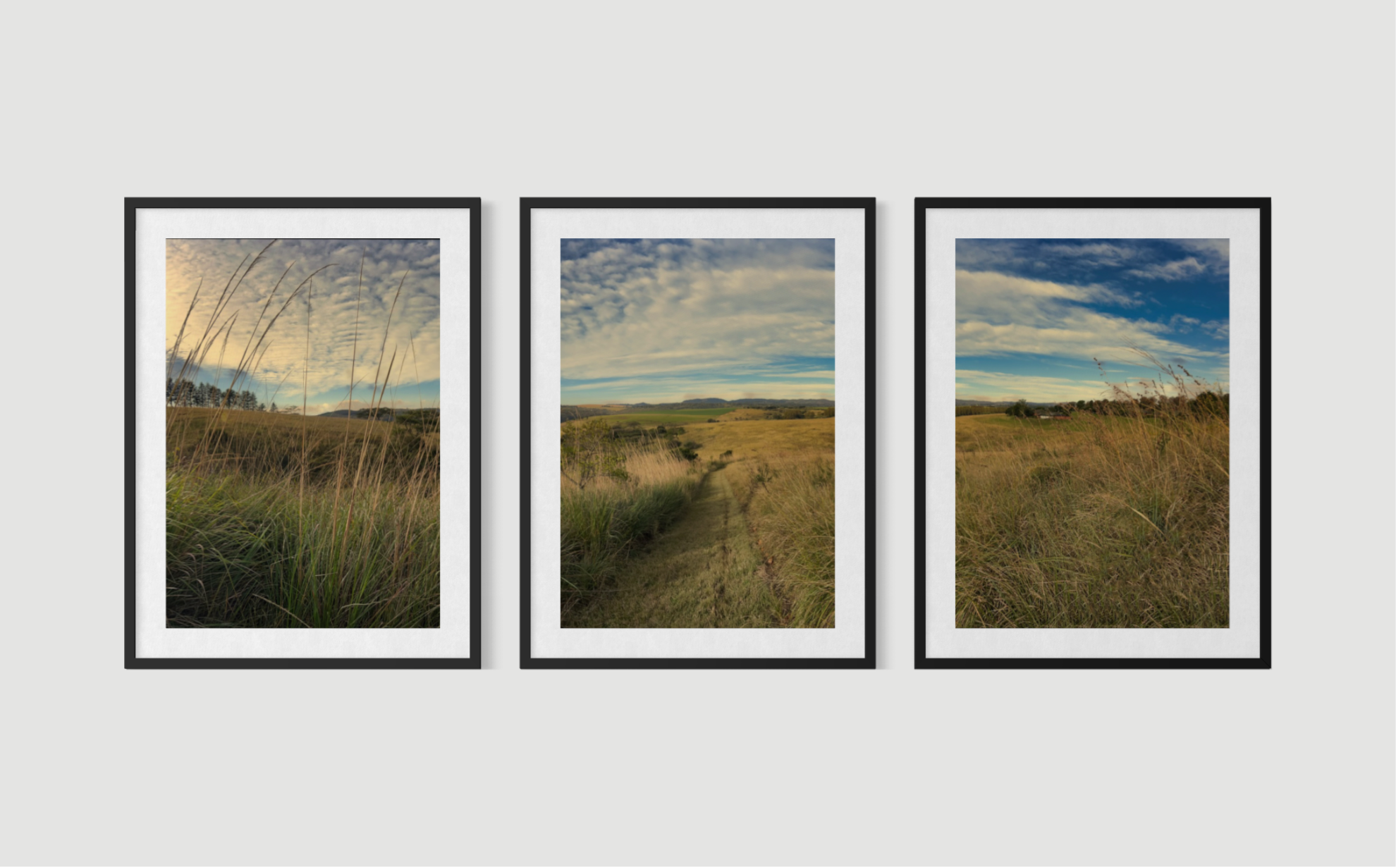 Fields of Gold ARTWORK.png
