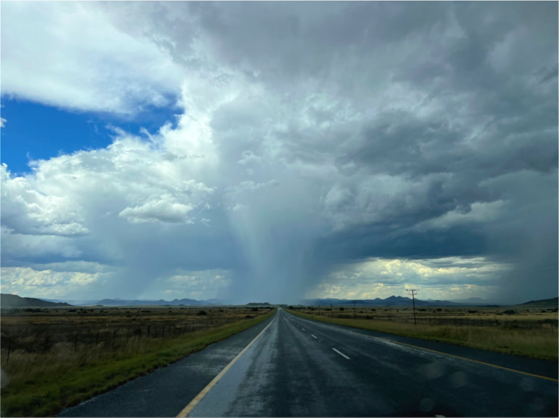 Untamed Skies : Limited Edition Print