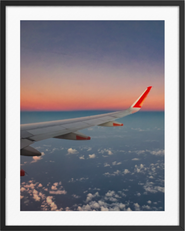 20260328-NZ Skyscapes-Wings Over Evening Sky ARTWORK.png