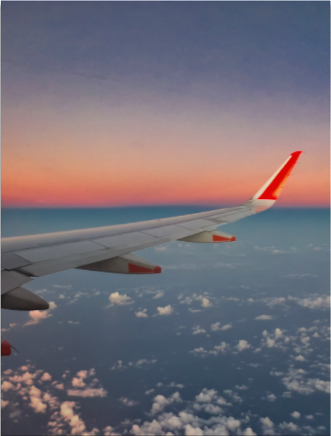 Wings Over Evening Sky : Limited Edition Fine Art Print