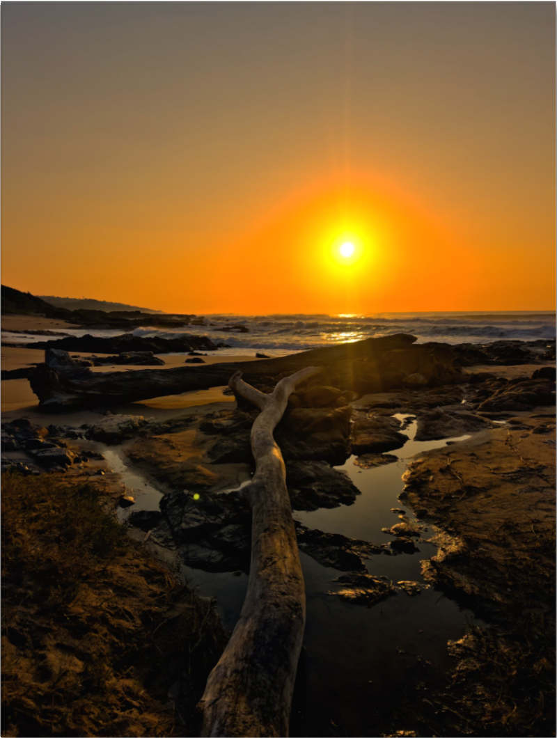 20260715-SA Seascapes-Eternal Horizon DISPLAY.png