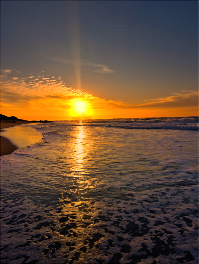 20260716-SA Seascapes-Whispering Tides DISPLAY.png
