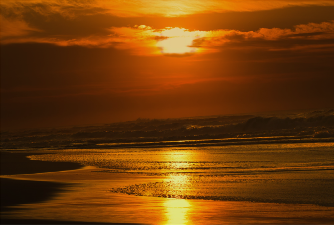 20260716-SA Seascapes-Symphony in Gold DISPLAY.png