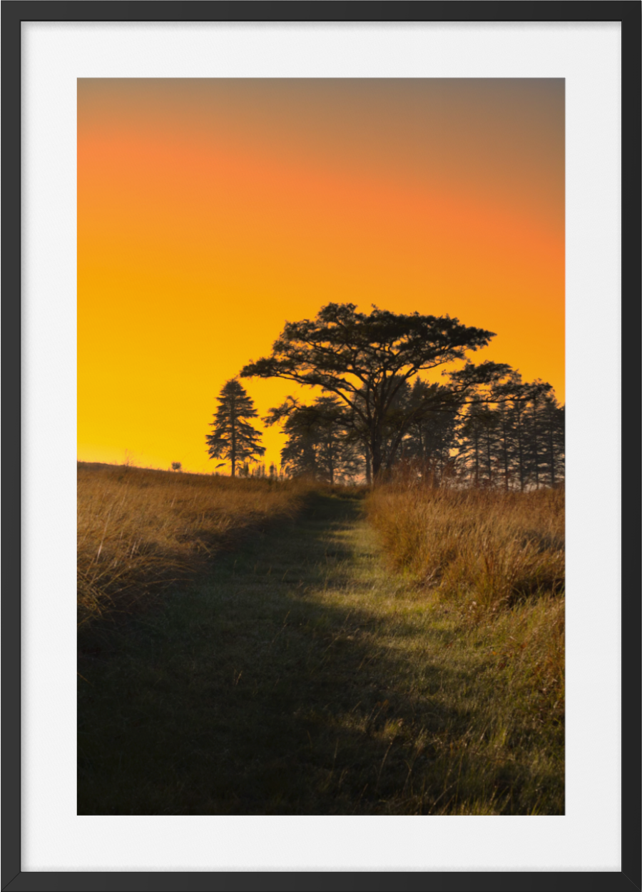 20250515-SA Landscapes-Whispering Plains at Dusk ARTWORK.png