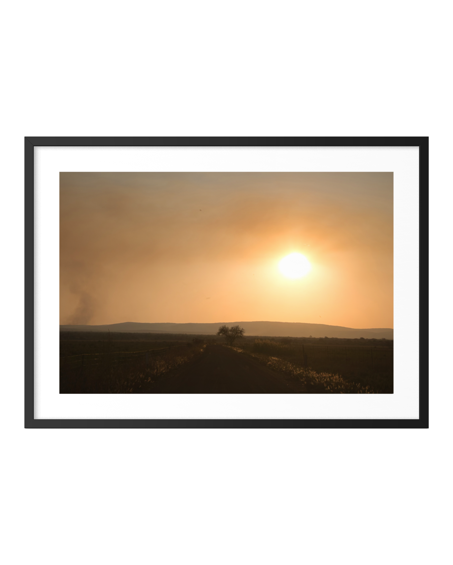 Silhouetted Solitude ARTWORK.png