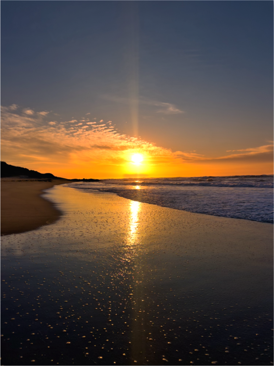 20260716-SA Seascapes-Daybreak Symphony DISPLAY.png