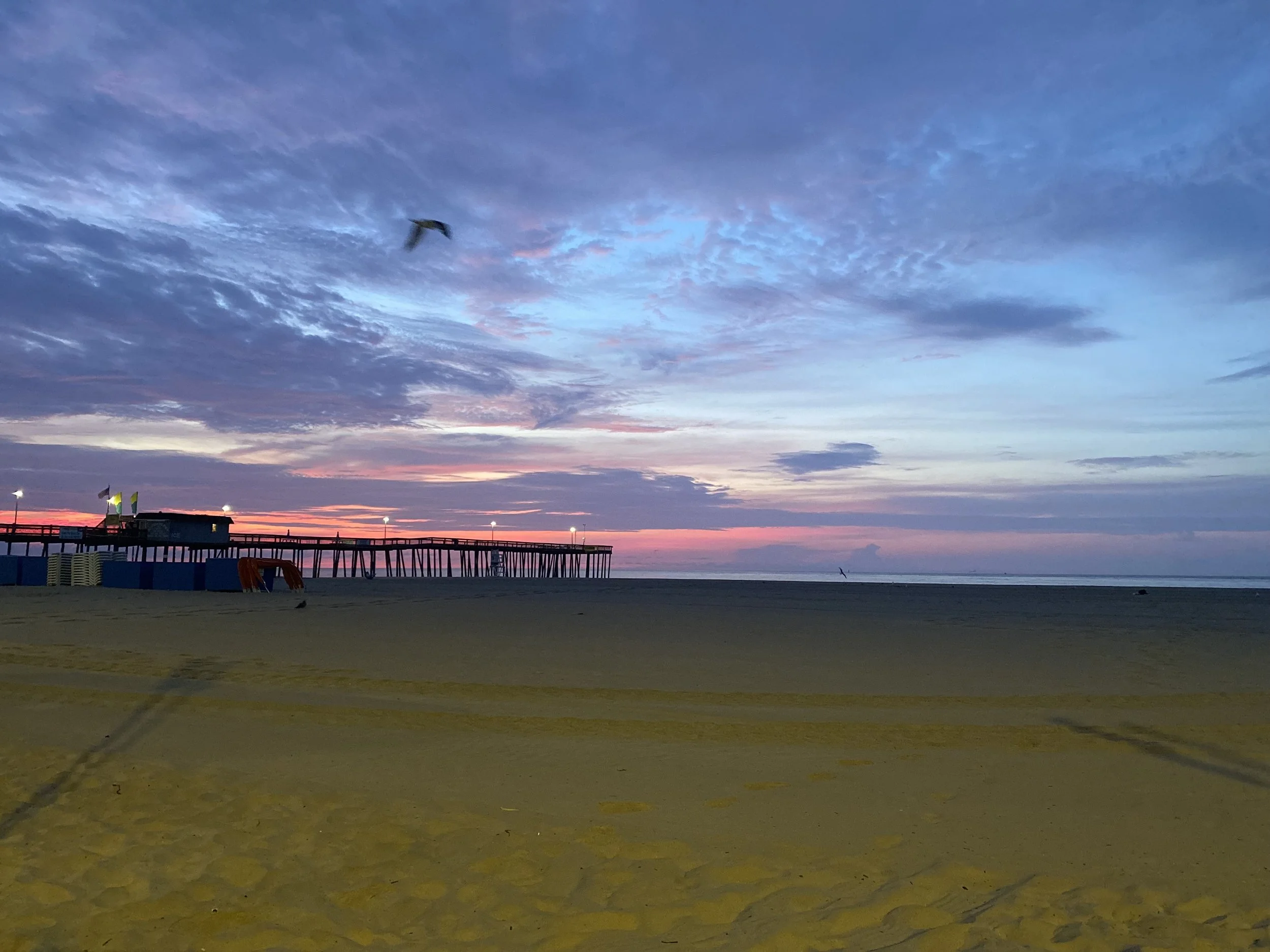 A beach at sunset with a pier extending into the ocean. The sky has shades of pink, purple, and blue with some clouds, and a seagull flying overhead.