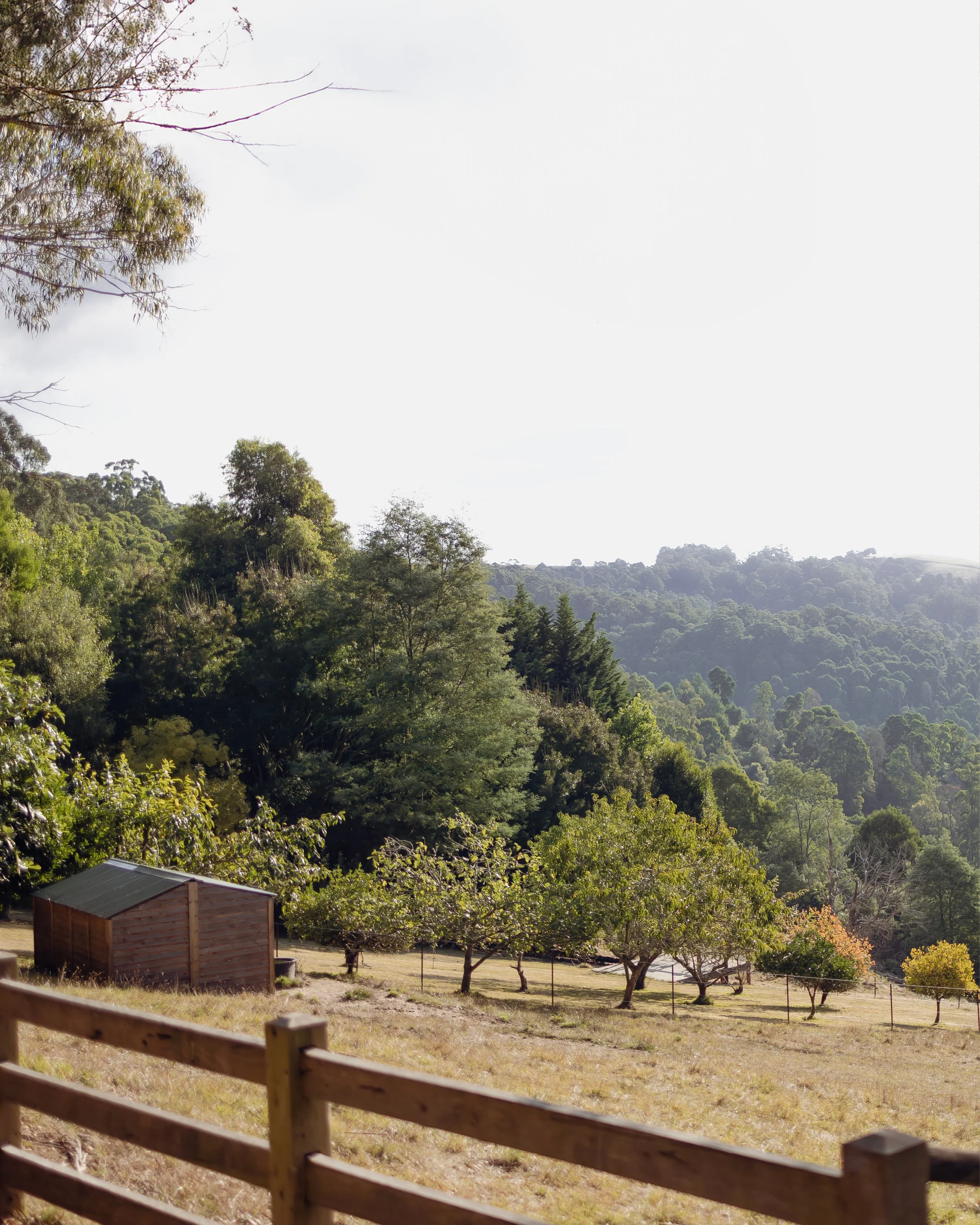 Mirador Springs_024.jpg
