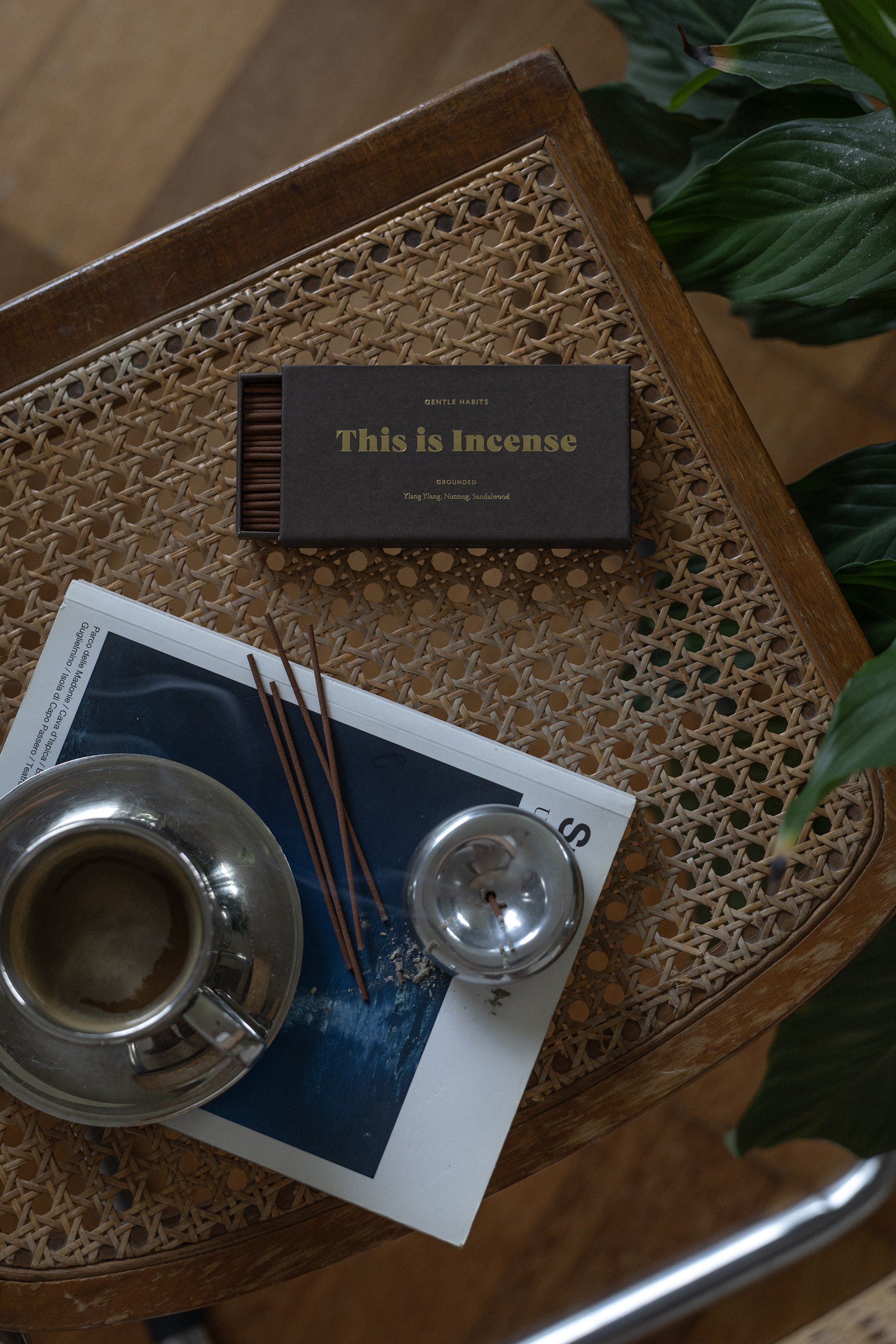 March 2026_GH_Pretty in Palms_LR_033.jpg