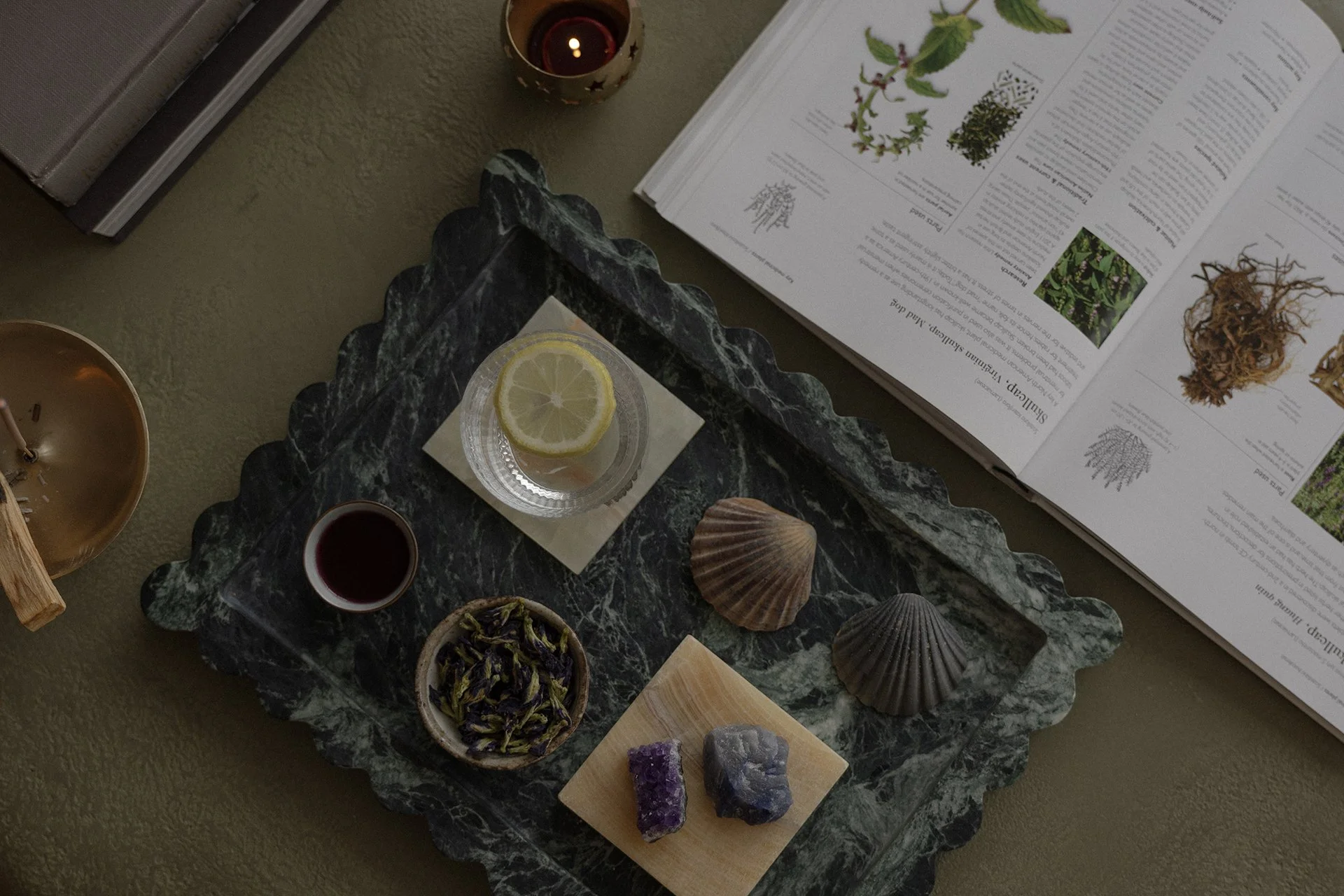 Redefined State Naturopathy_Pretty in Palms_LR_072.jpg