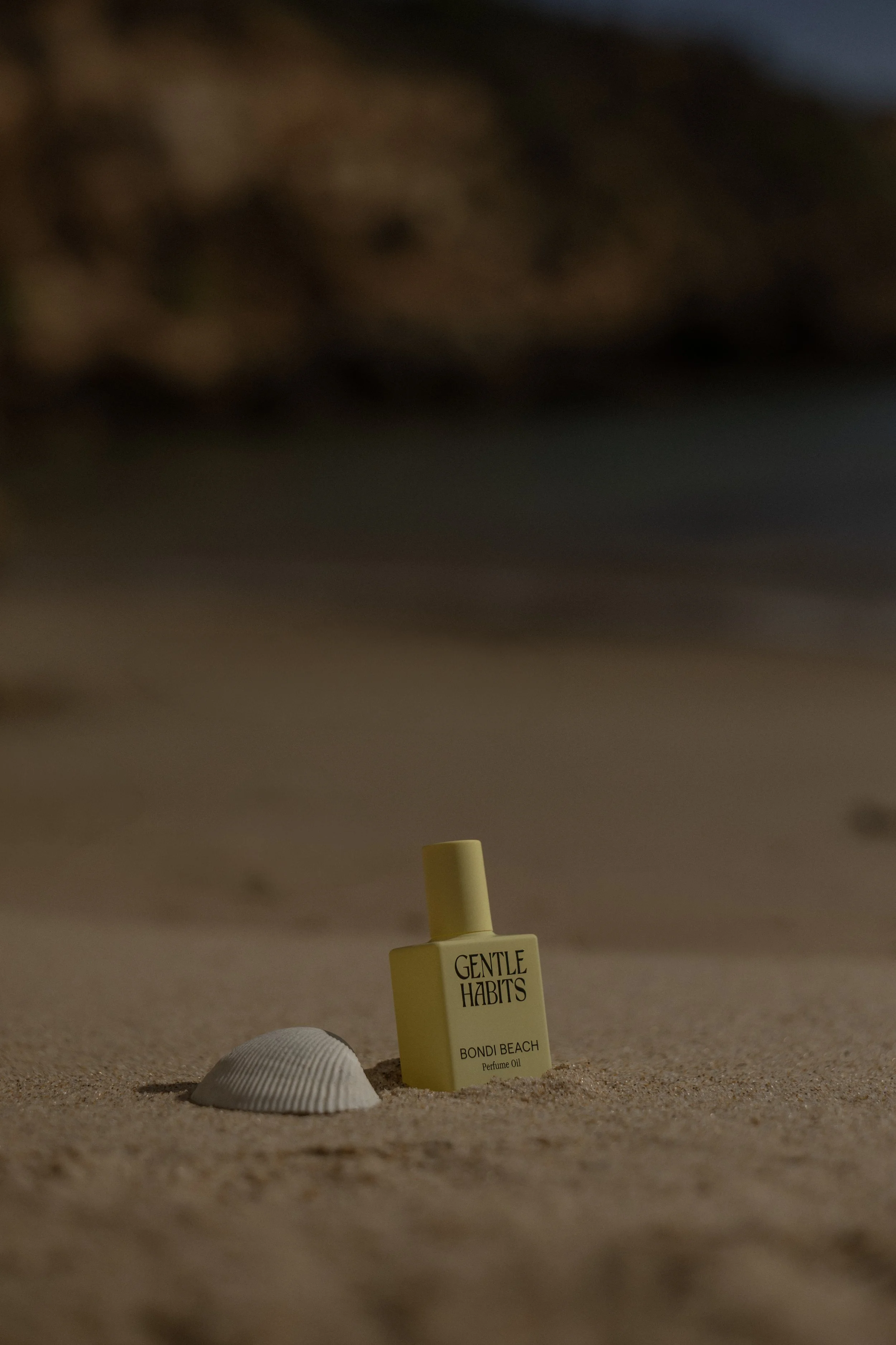 February_GH_Pretty in Palms_4.jpg