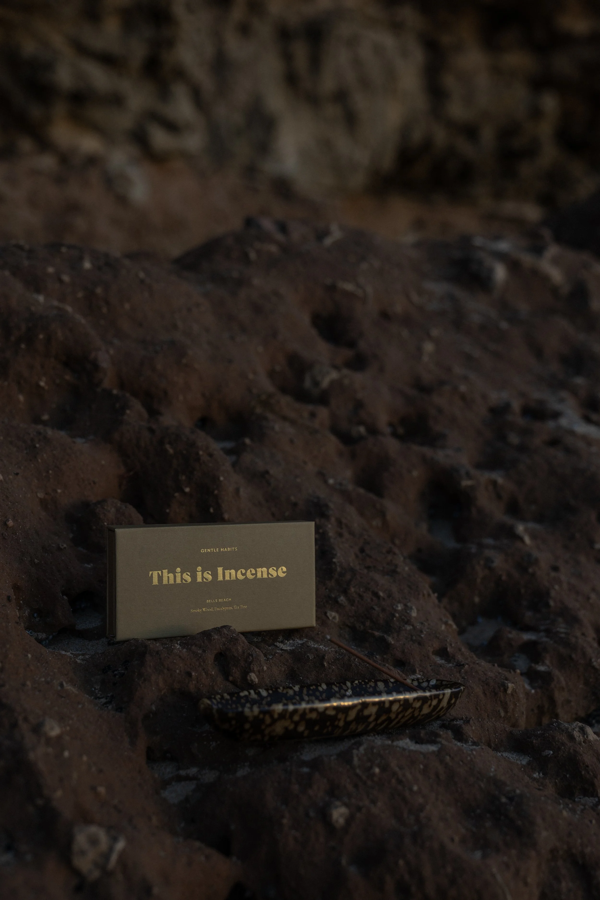 February_GH_Pretty in Palms_28.jpg