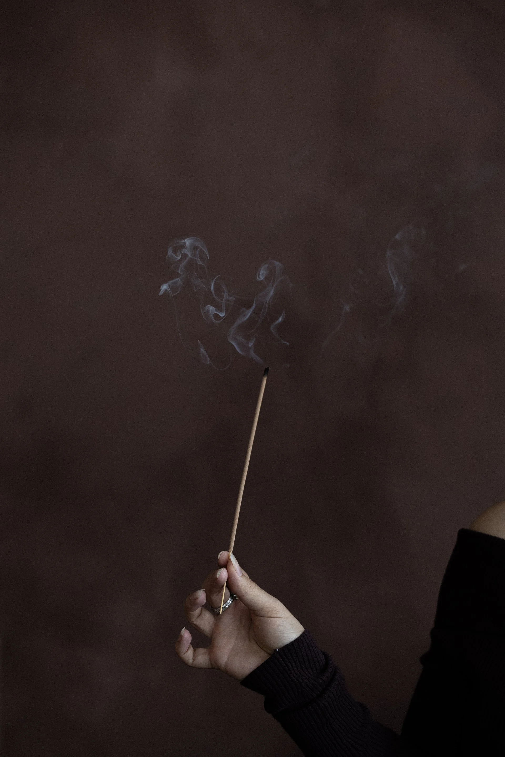 Redefined State Naturopathy_Pretty in Palms_LR_068.jpg