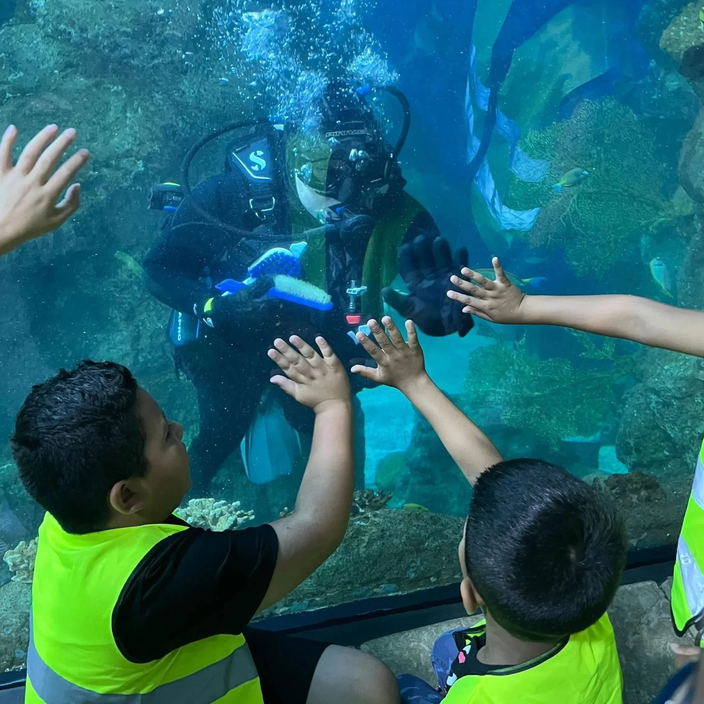Children and a diver underwater at an aquarium, reaching out towards sea life and coral.