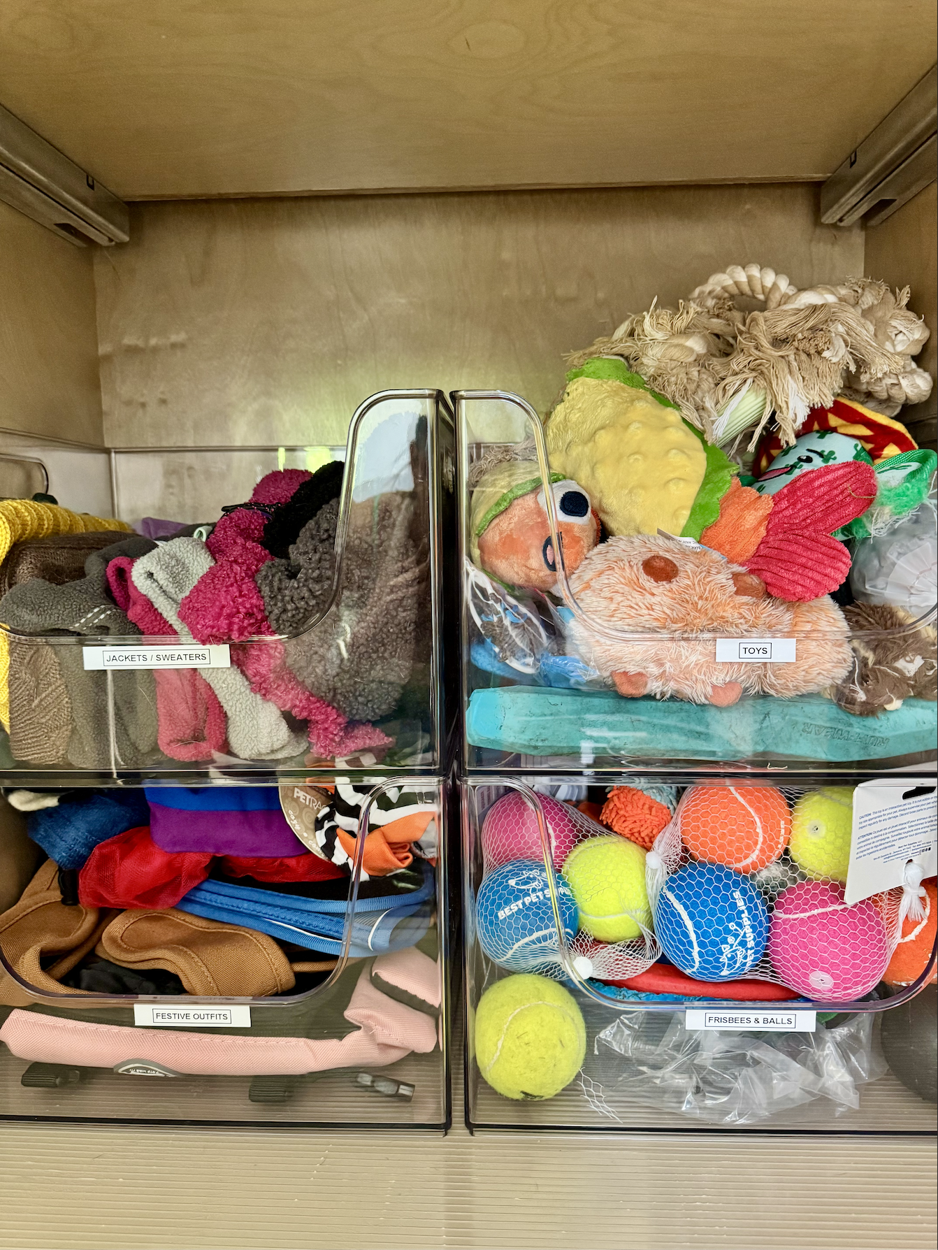 Organized cabinet, dog toys organization, dog accessories organization, dog clothes organization, clear bins for organizing - professional home organizer in Austin TX