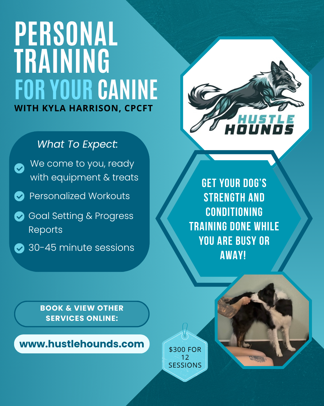 Personal Trainer Flyer.png
