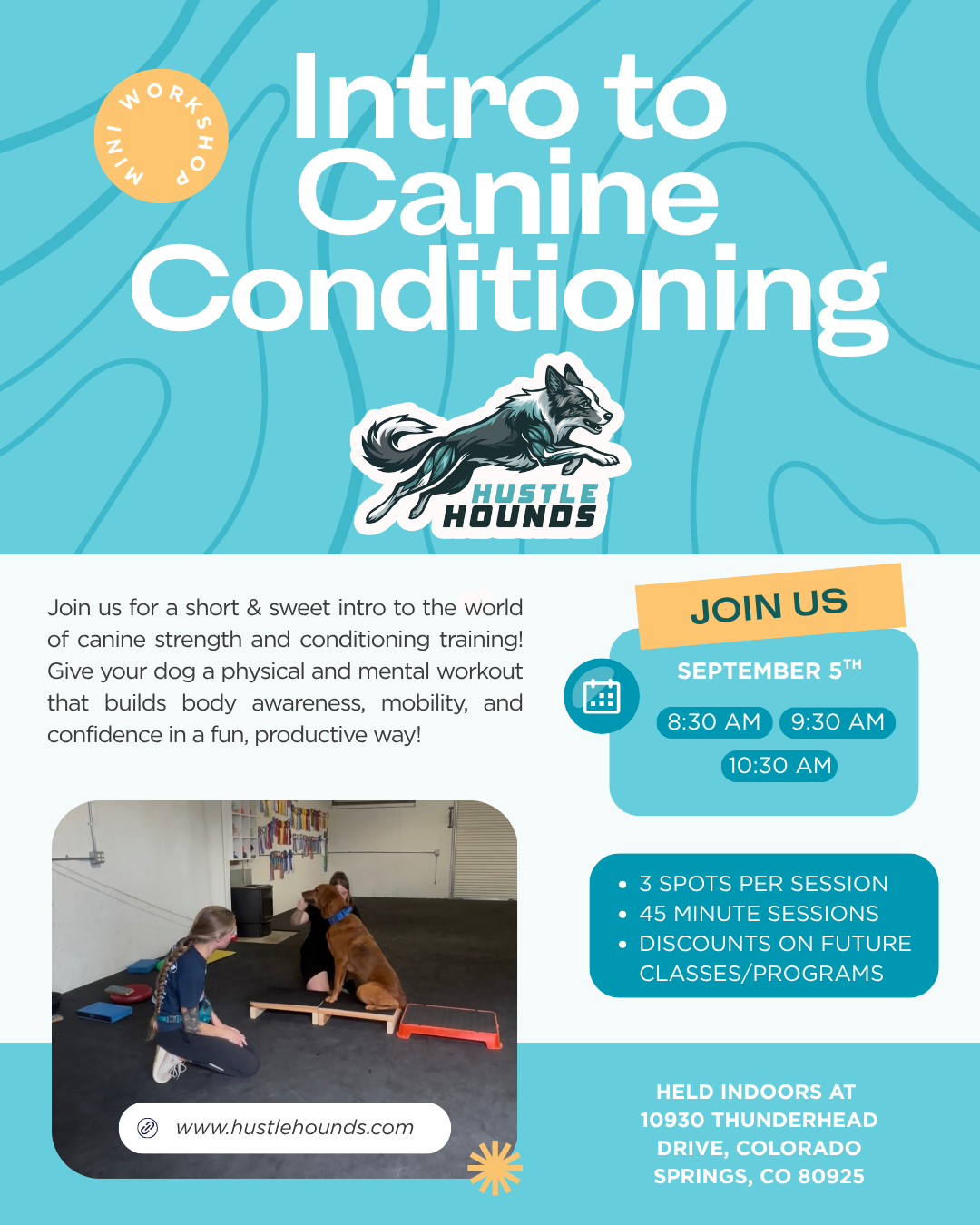 Intro to Canine Conditioning Mini Workshop