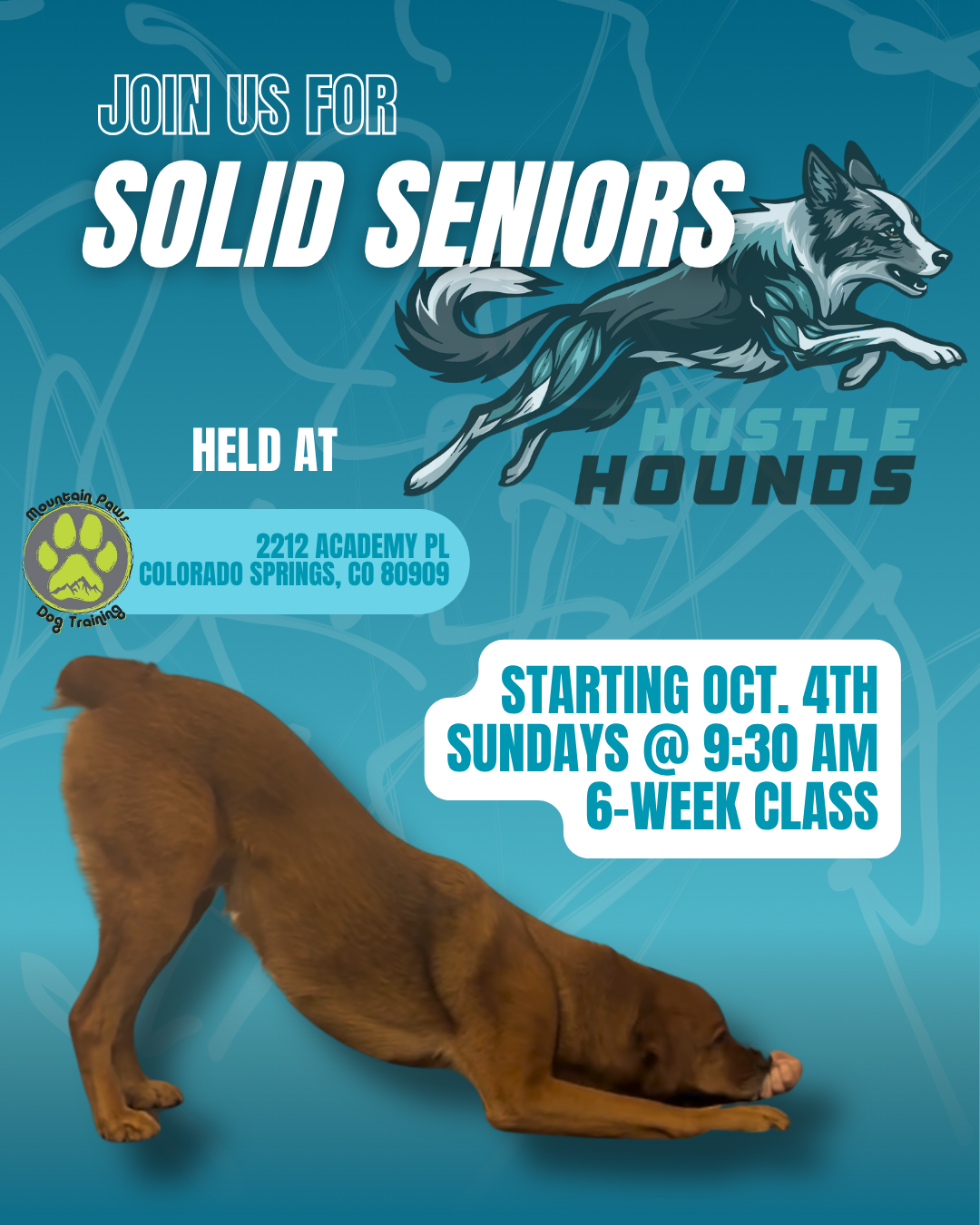 Solid Seniors 10.04.png