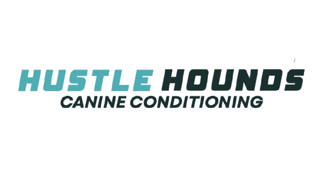 Logo for Huestis & Huestis, a game conditioning company.