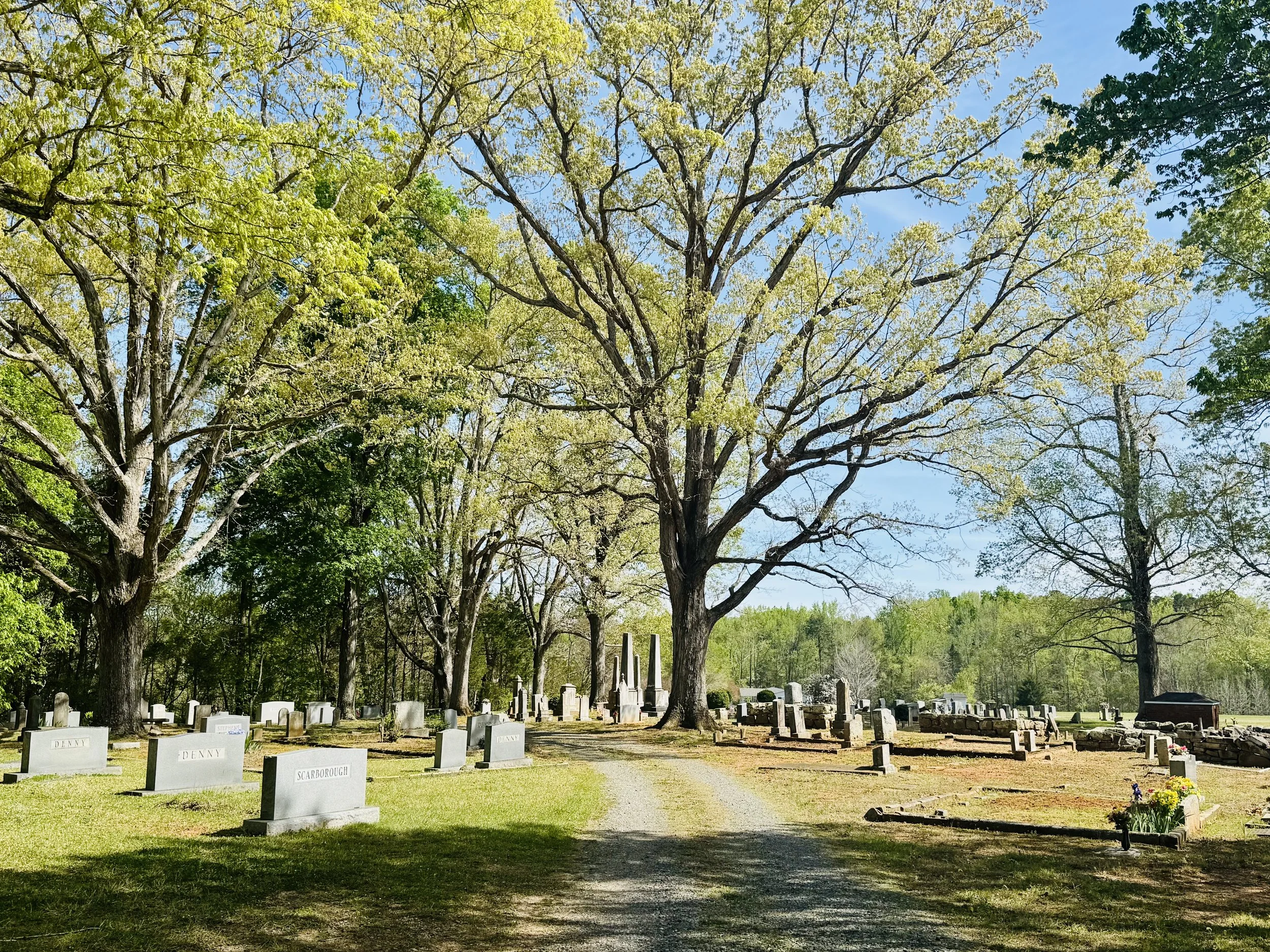 Cemetery Stewardship