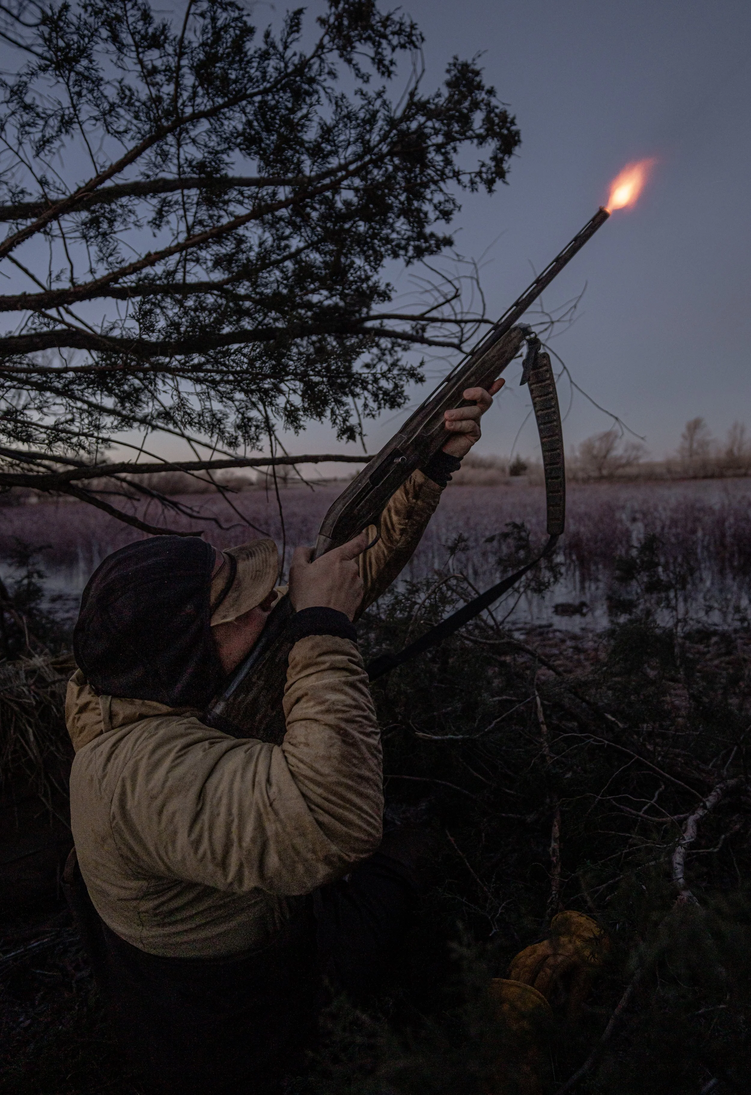 A person aiming a flaming arrow into the sky during dusk or dawn in a wooded area near a body of water.