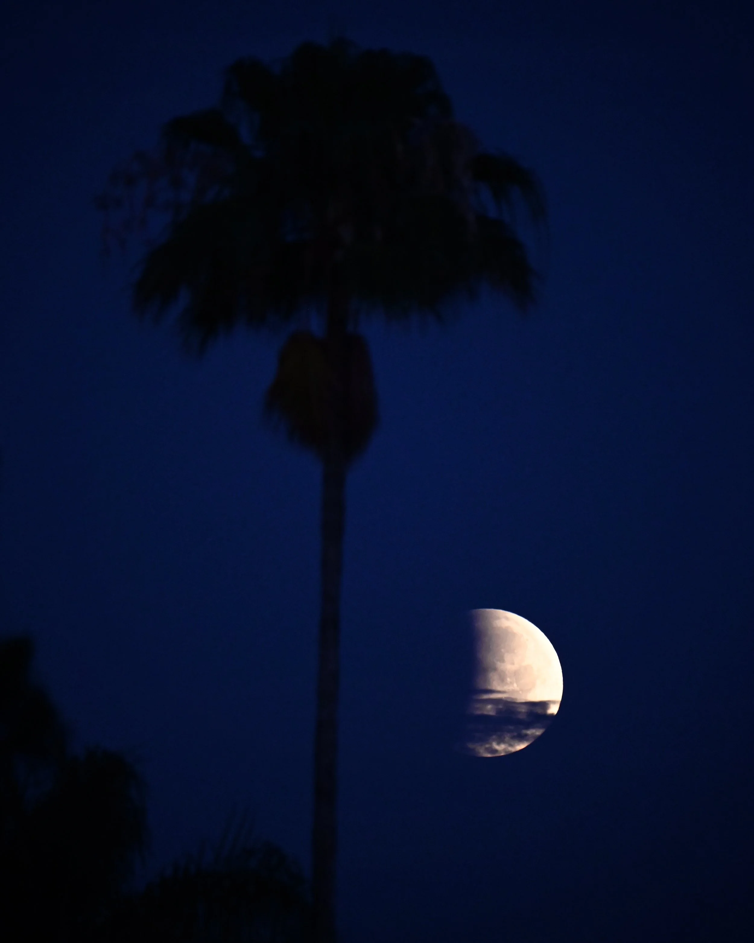 Partial lunar eclipse, Orlando