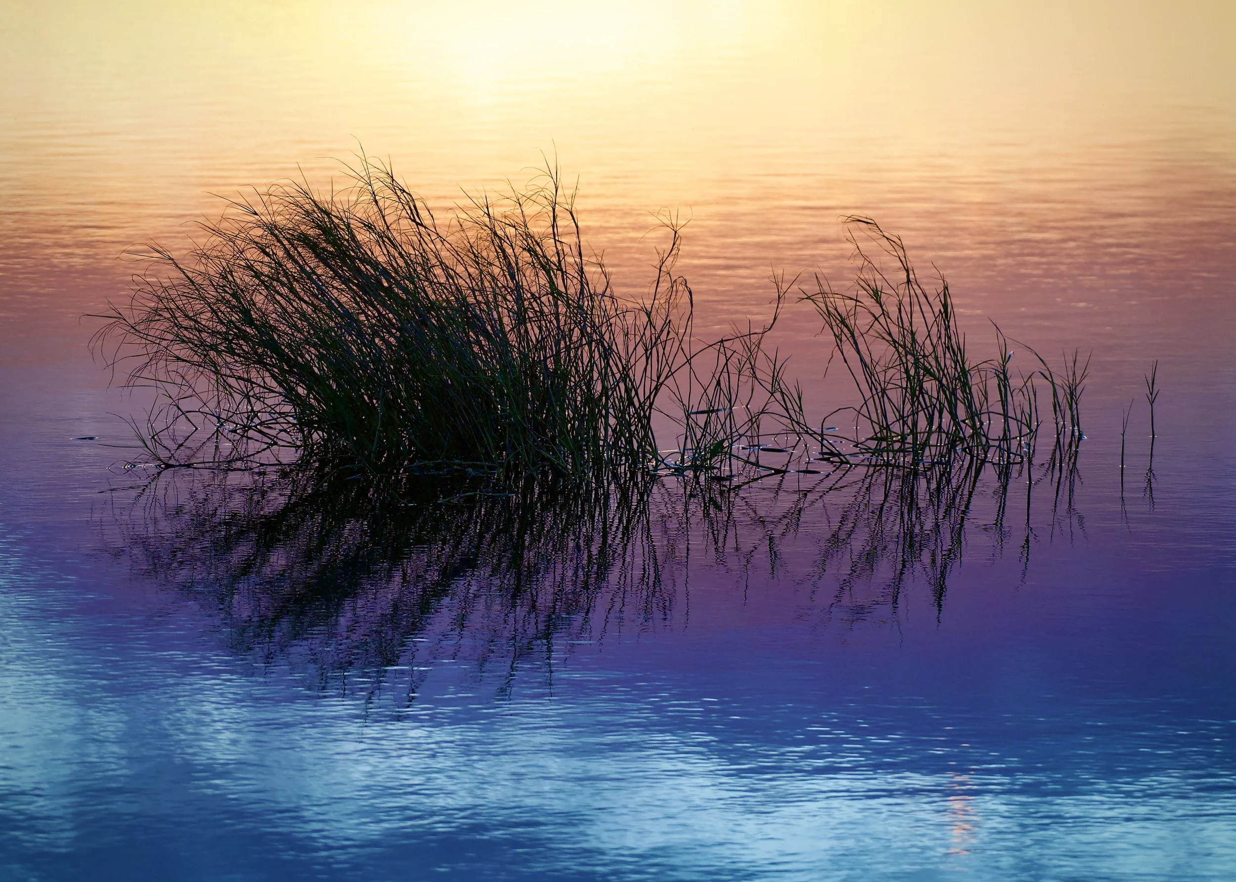 Sunset colors, Lakeland