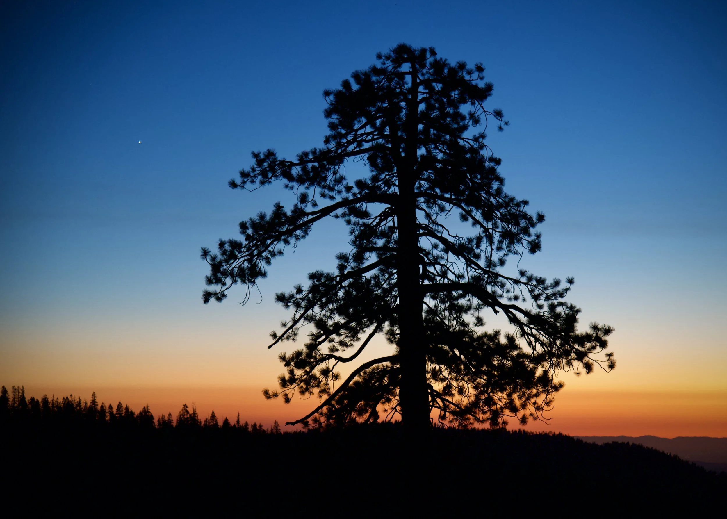 Venus after sunset, Yosemite