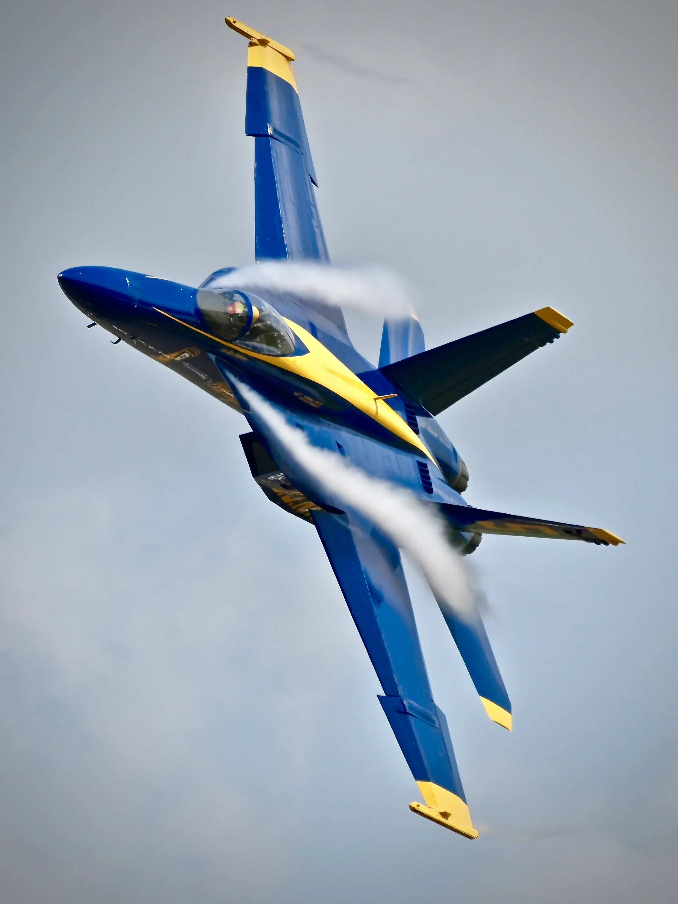 Blue Angels F/A-18 Super Hornet 