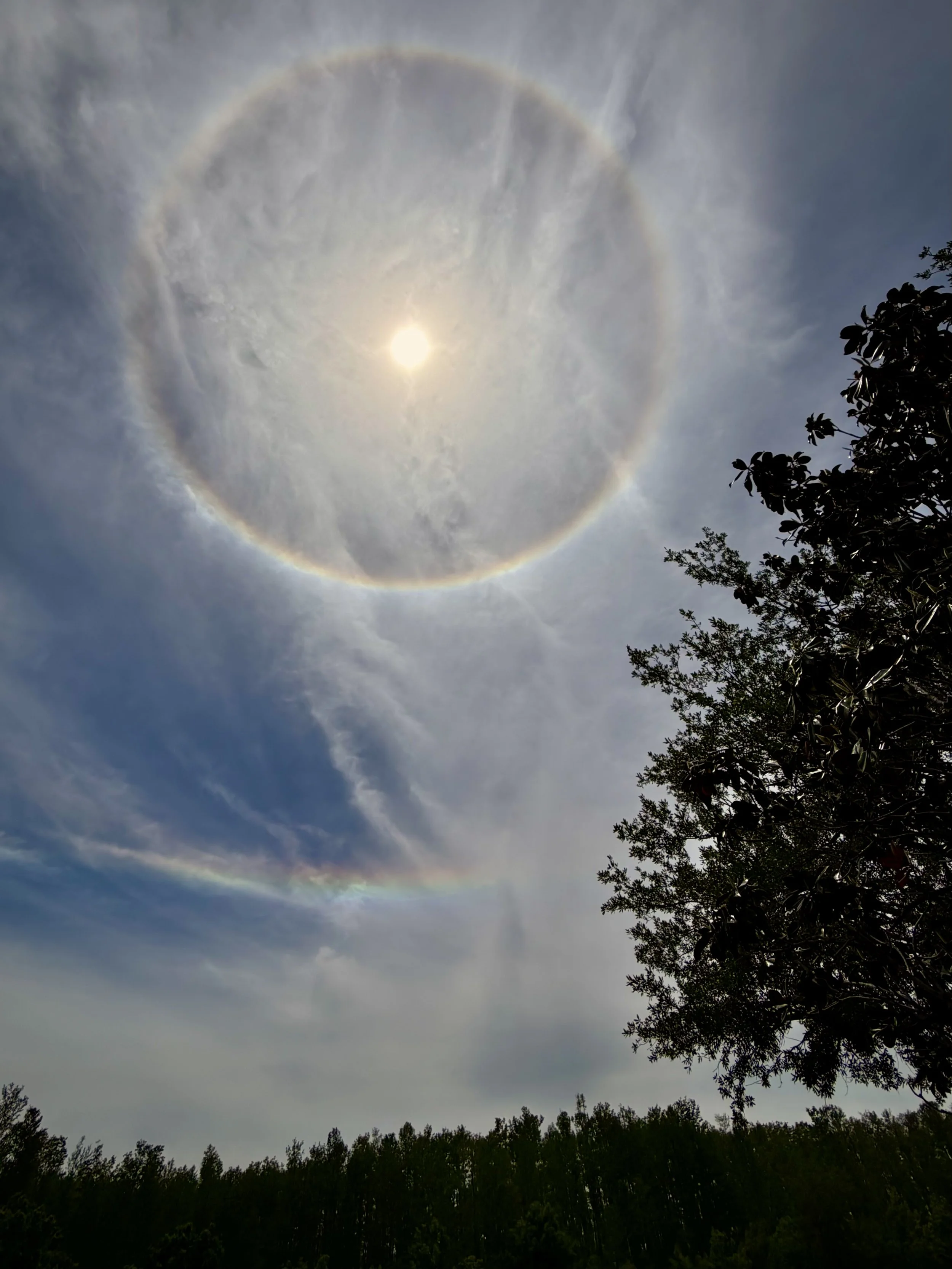 22-degree halo and supralateral arc