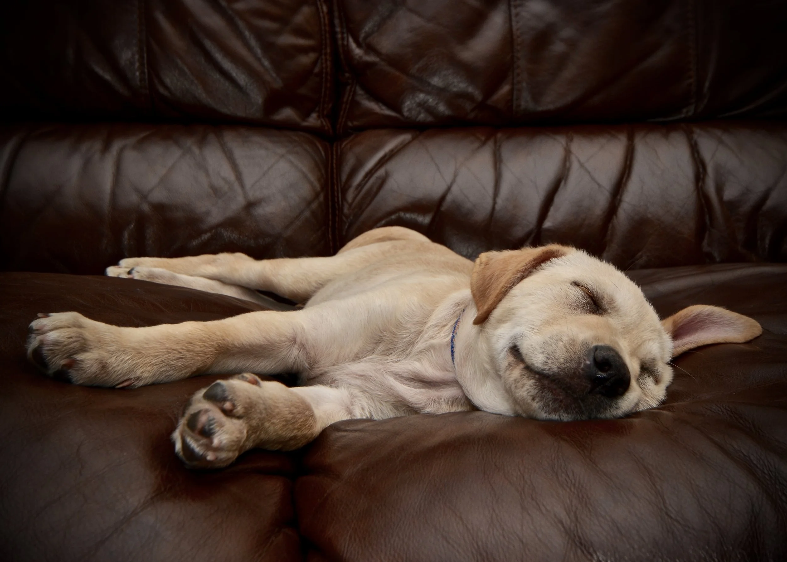 Young Emerson exhausted
