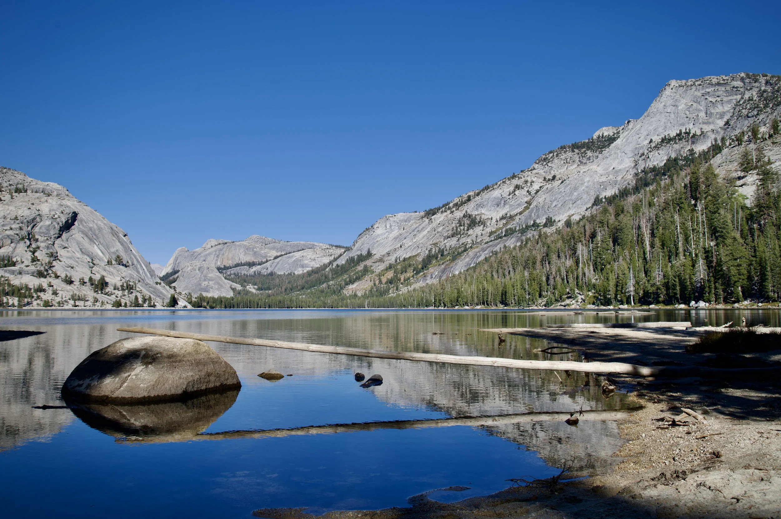 Looks like chopsticks on Tenaya Lake, Yosemite 