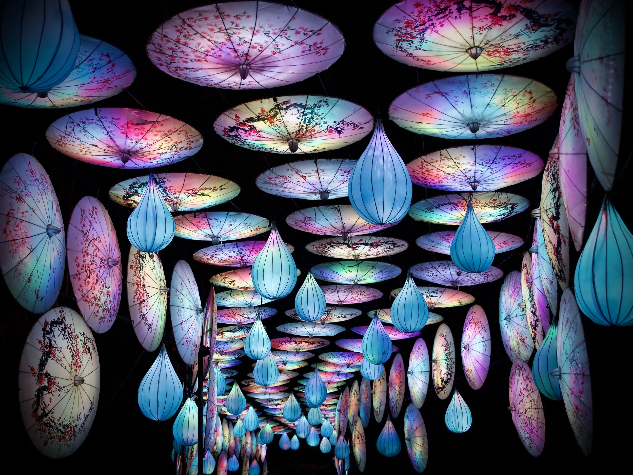 Lanterns at the Central Florida Zoo