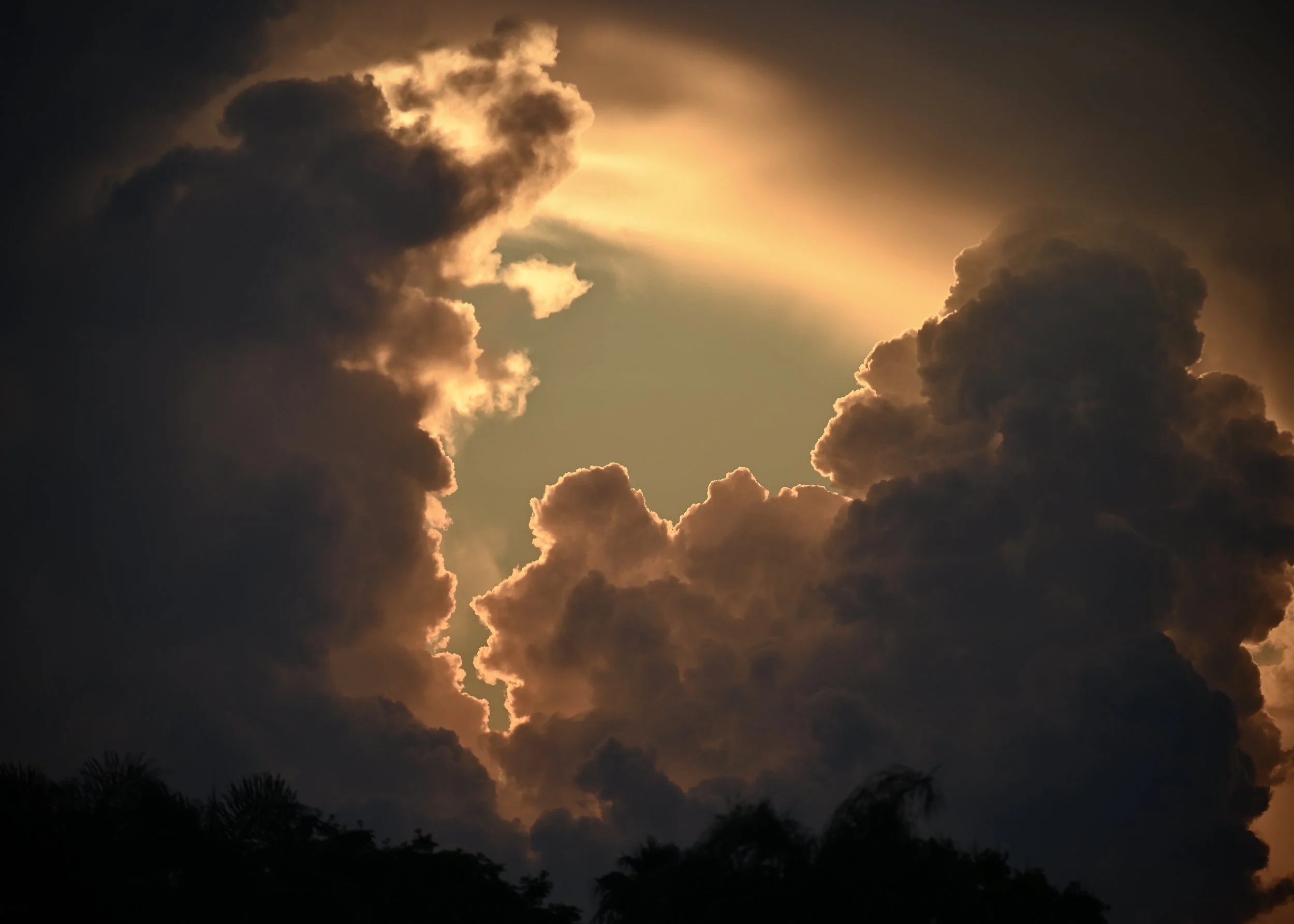 Backyard sunset