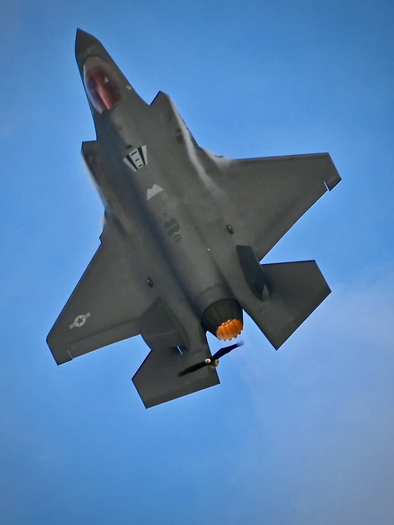 F-35 and a bald eagle