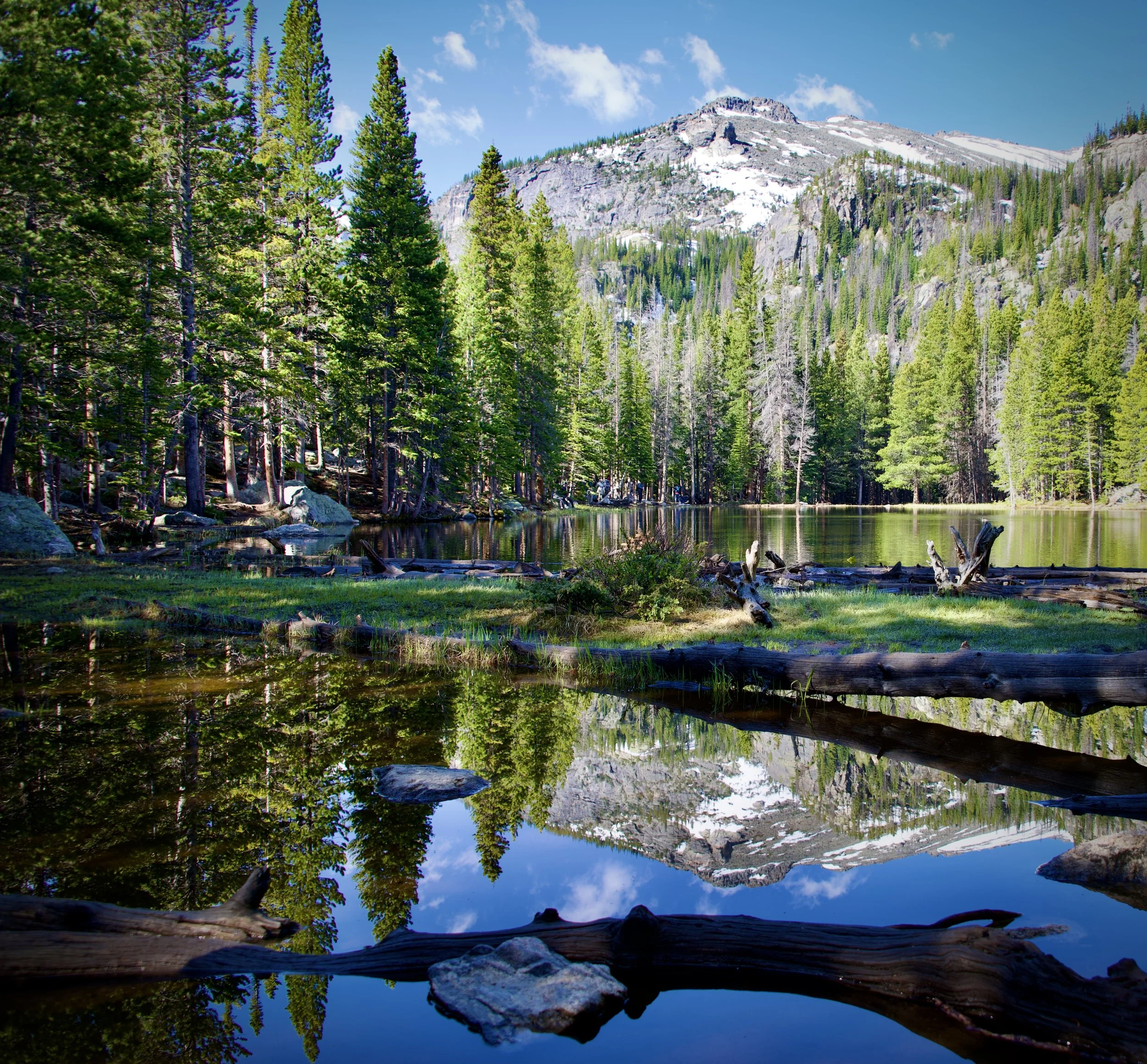 Nymph Lake, Rocky Mountain National Park