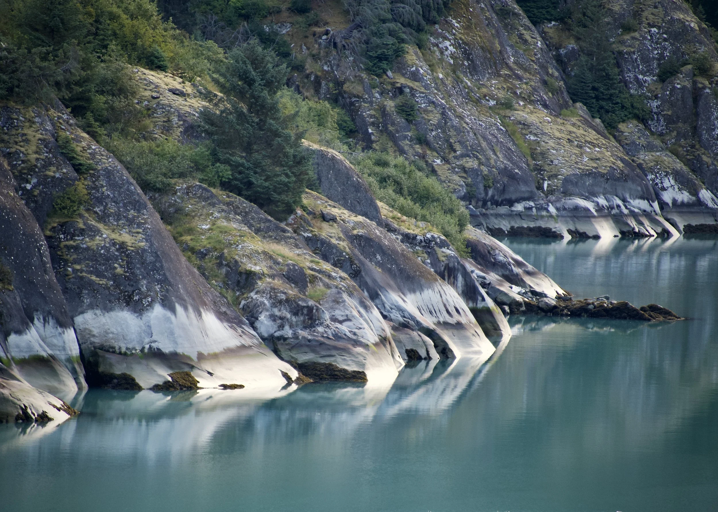 Endicott Arm, Alaska
