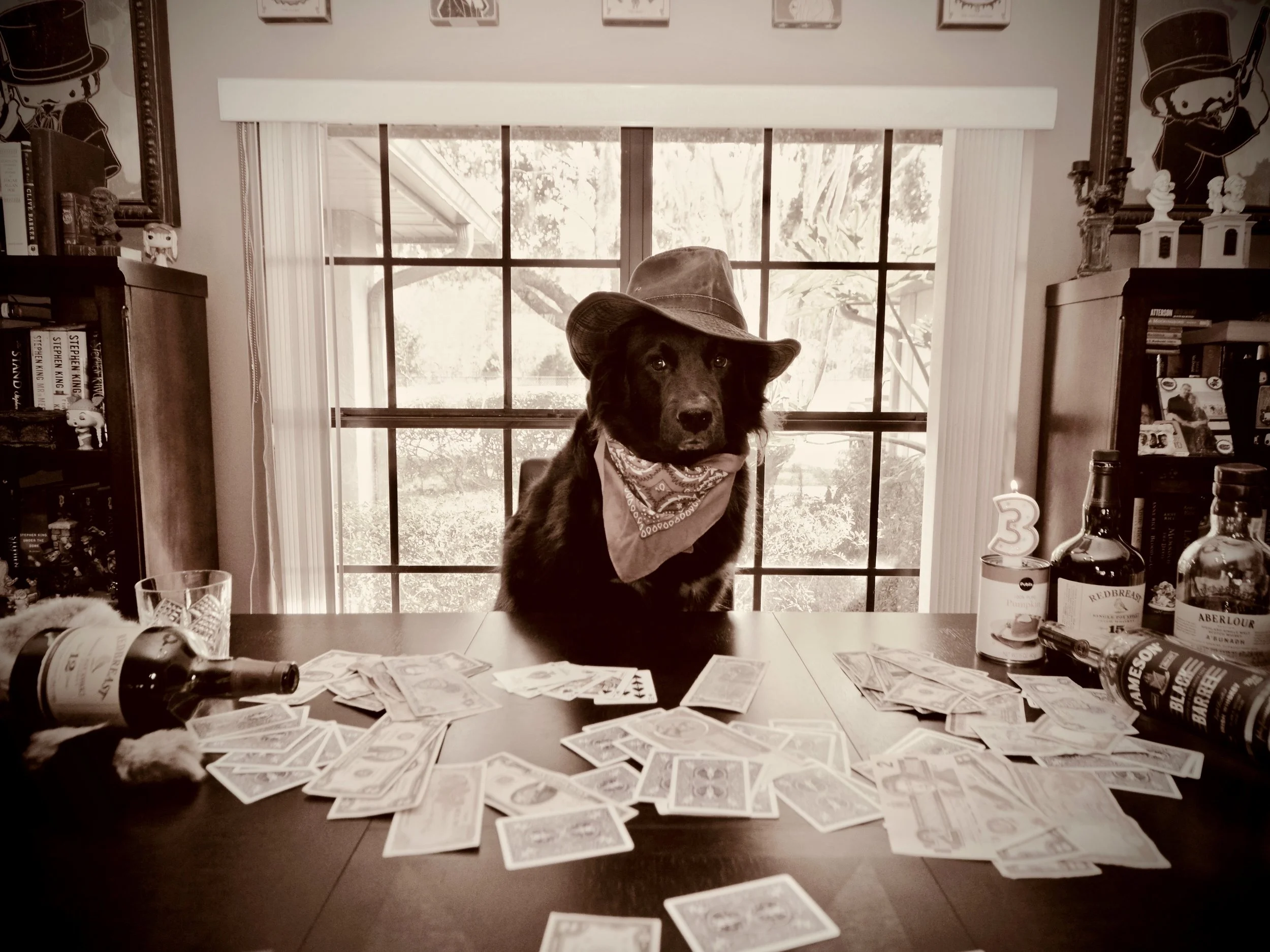 Tucker the scofflaw