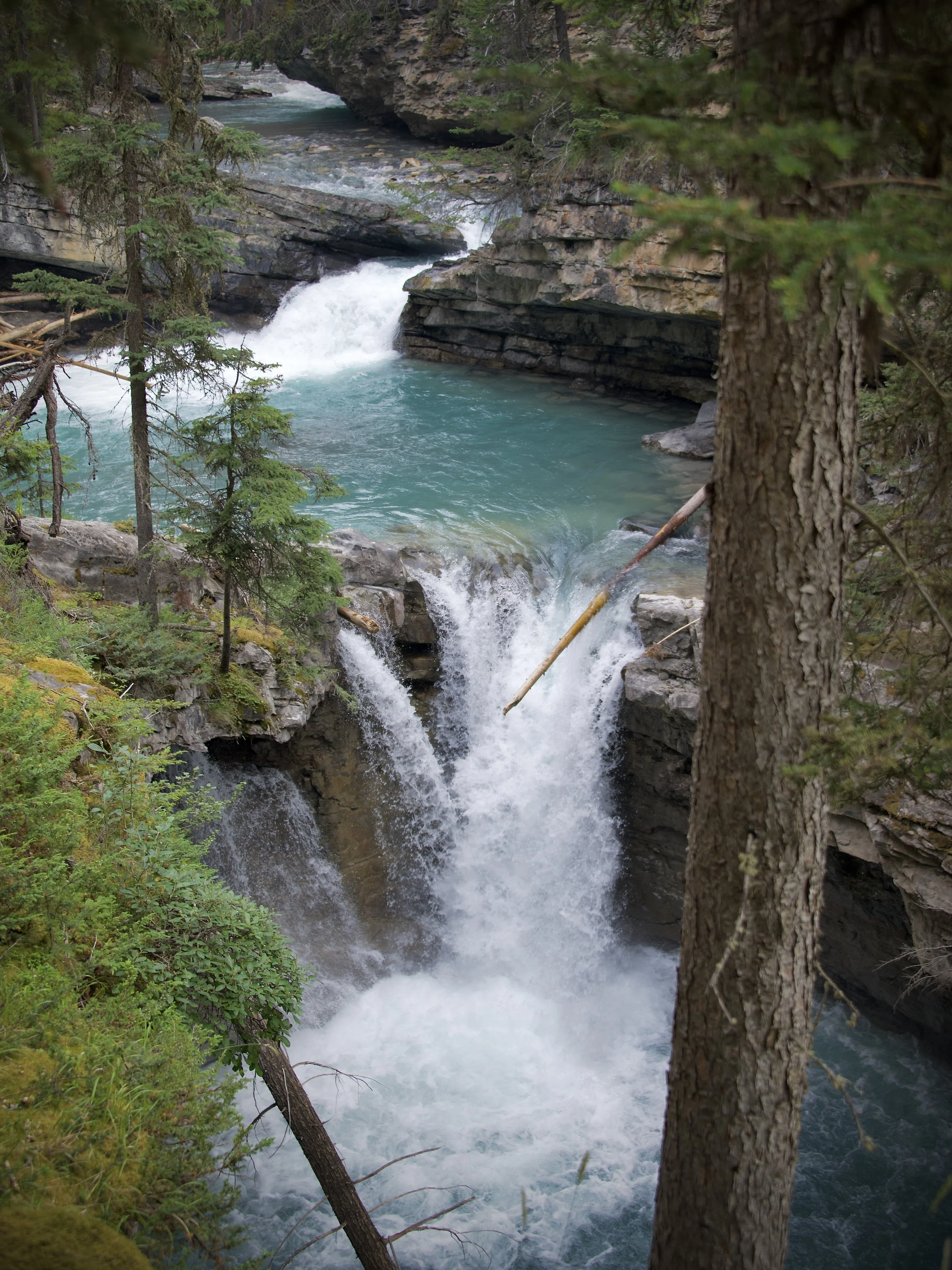 Johnston Creek, Banff