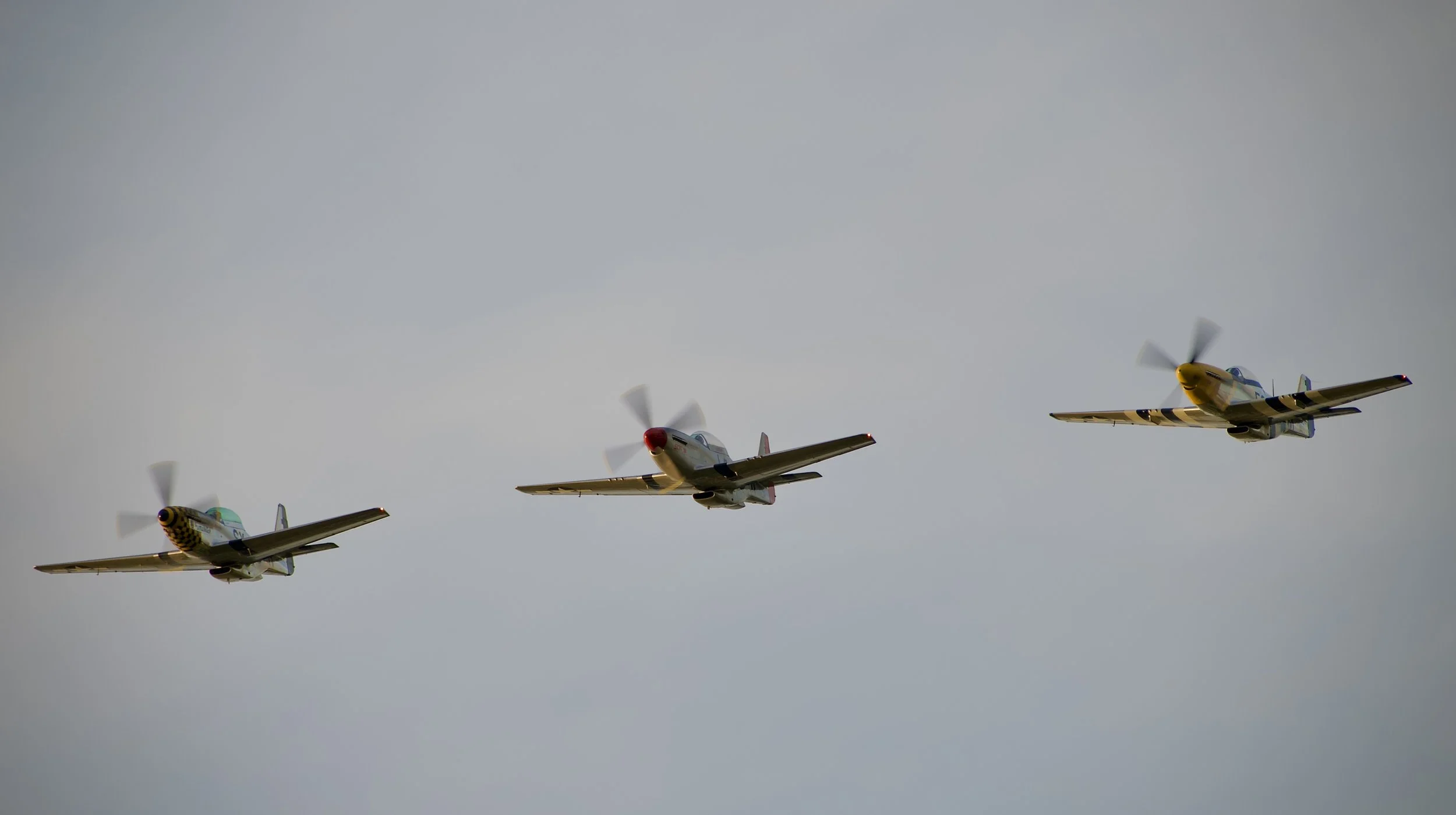 Jack Aces Demo Team