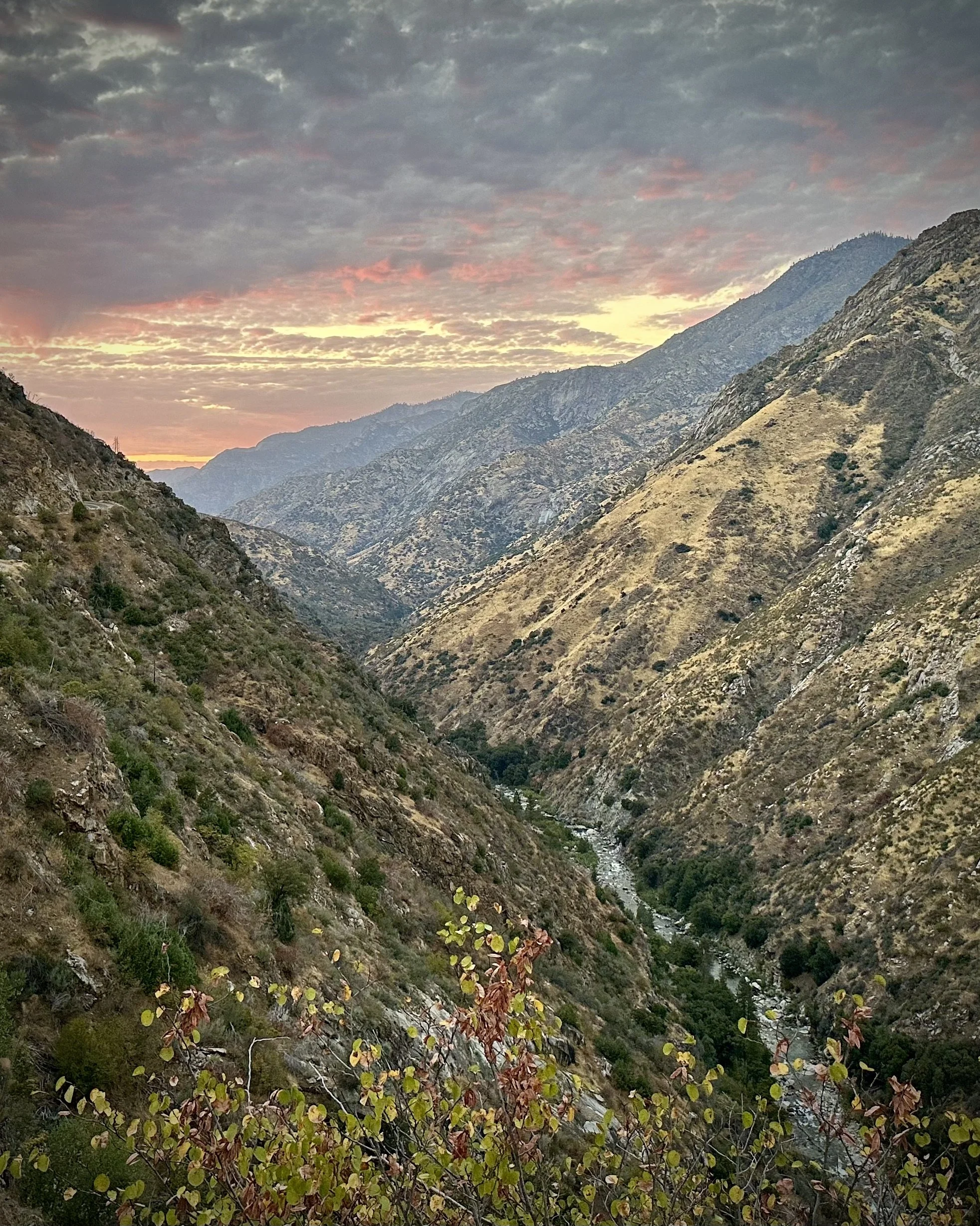 Kings Canyon National Park