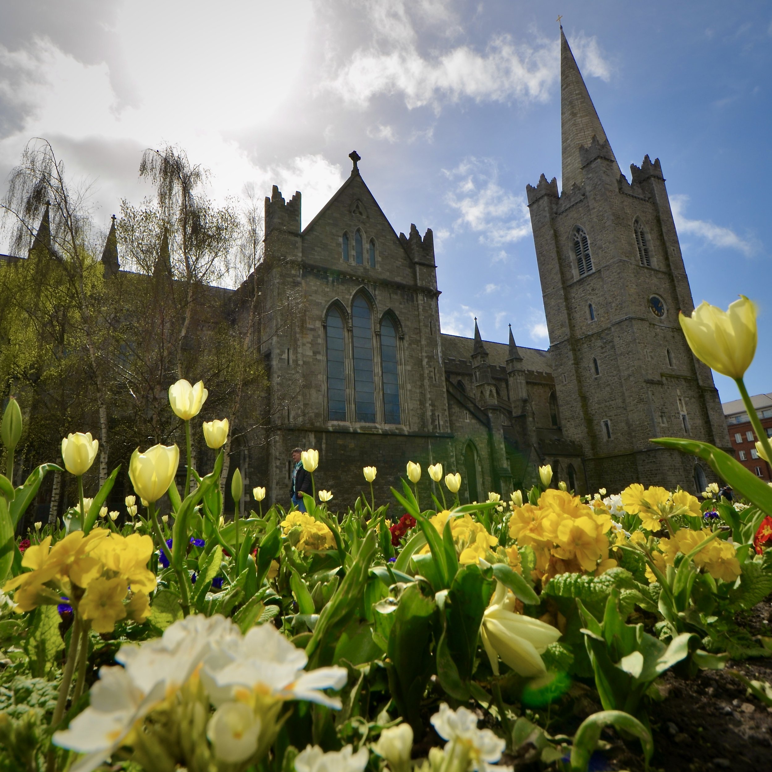 St. Patrick's Cathedral, Dublin