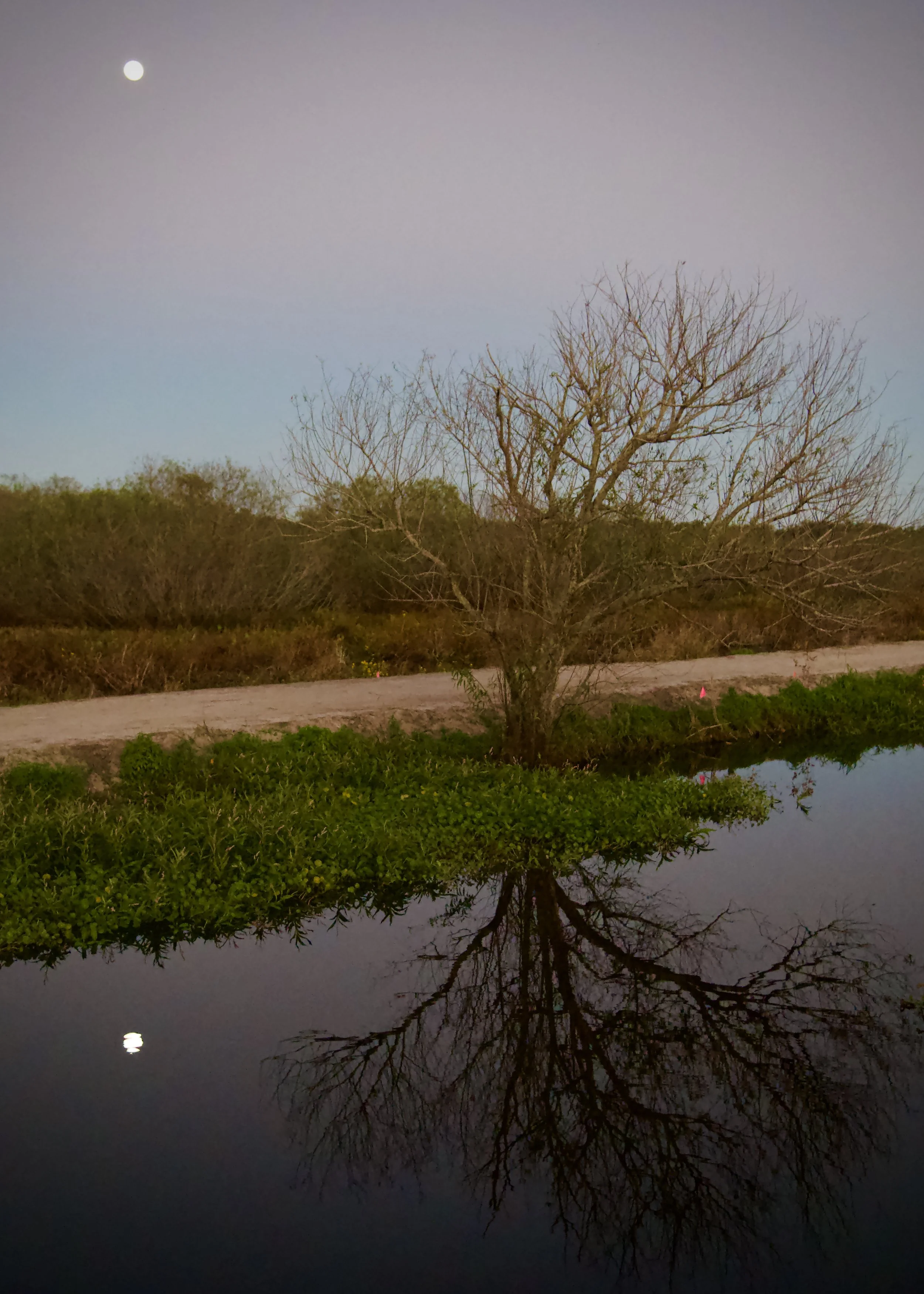 Moonrise, Lakeland