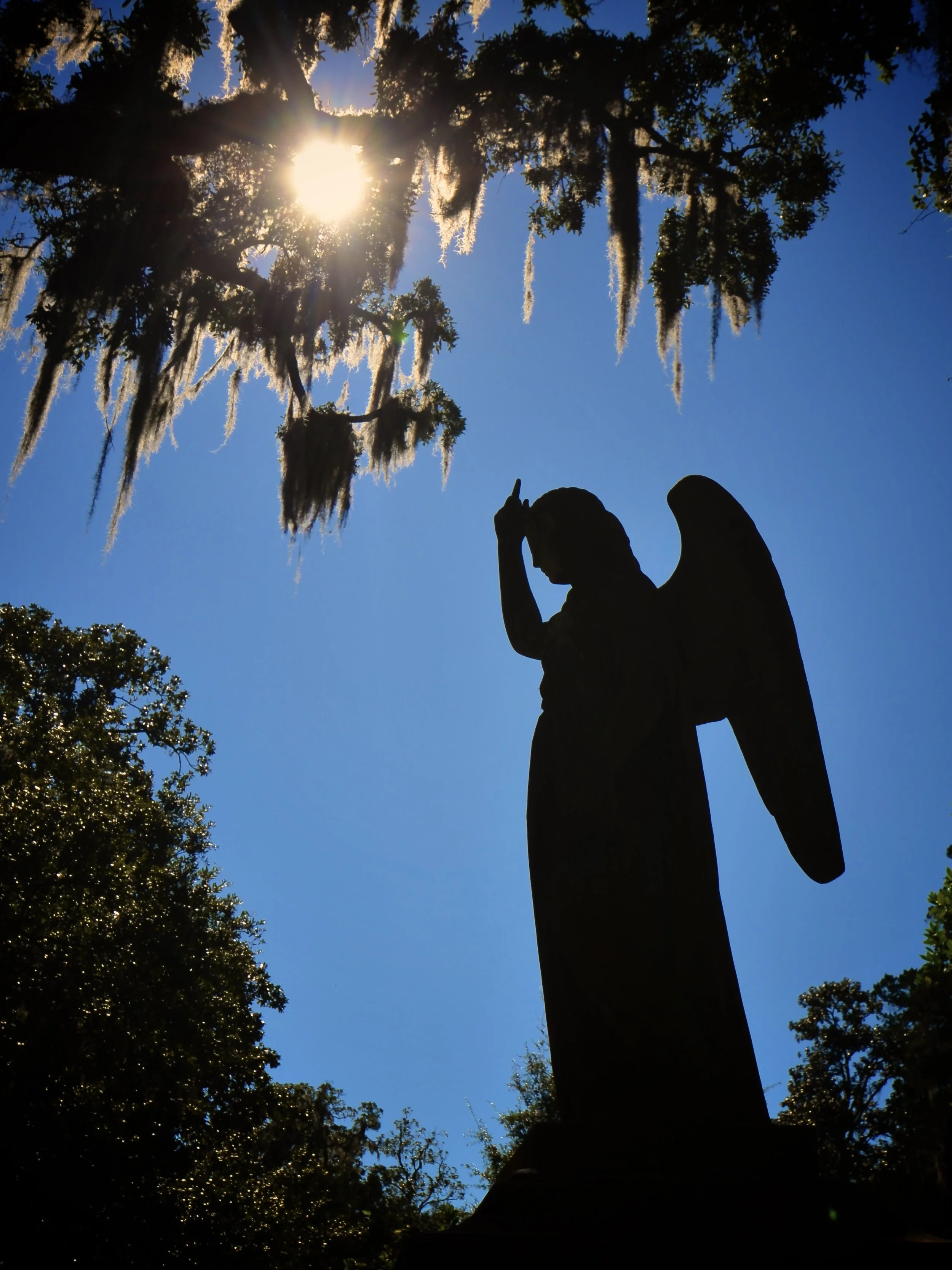 Bonaventure Cemetery, Savannah, 🐊