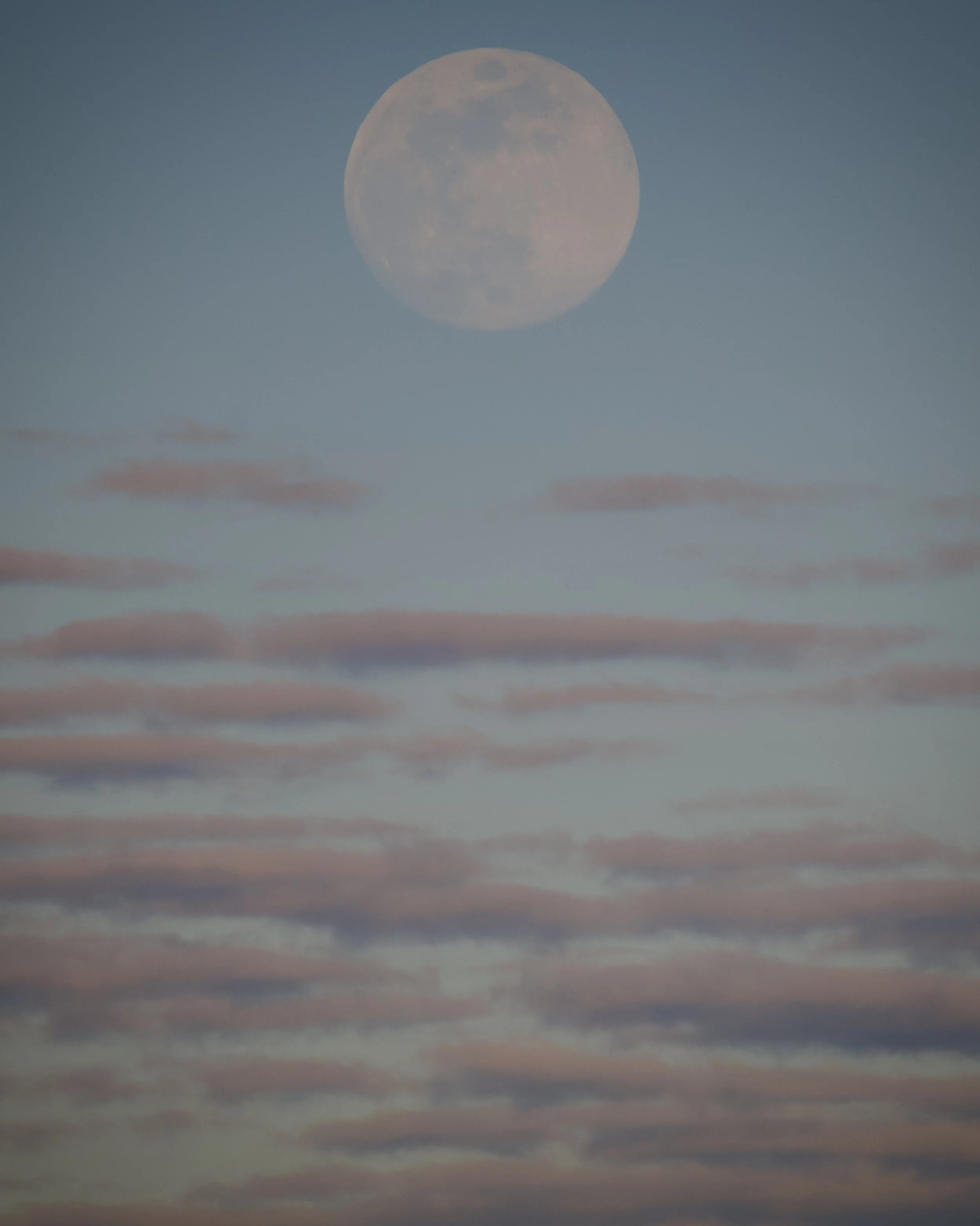 Front yard moonrise, Orlando