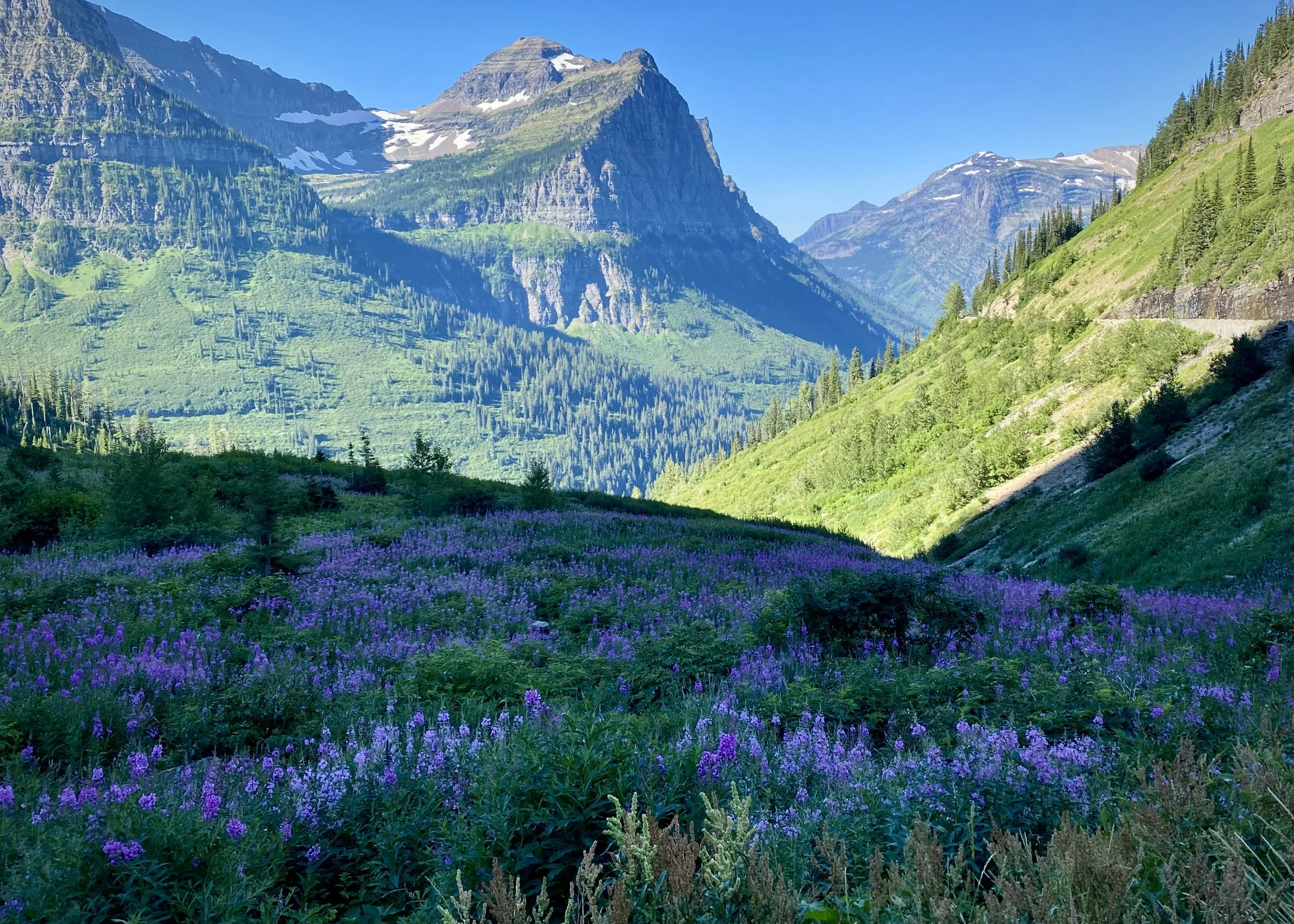 Glacier National Park