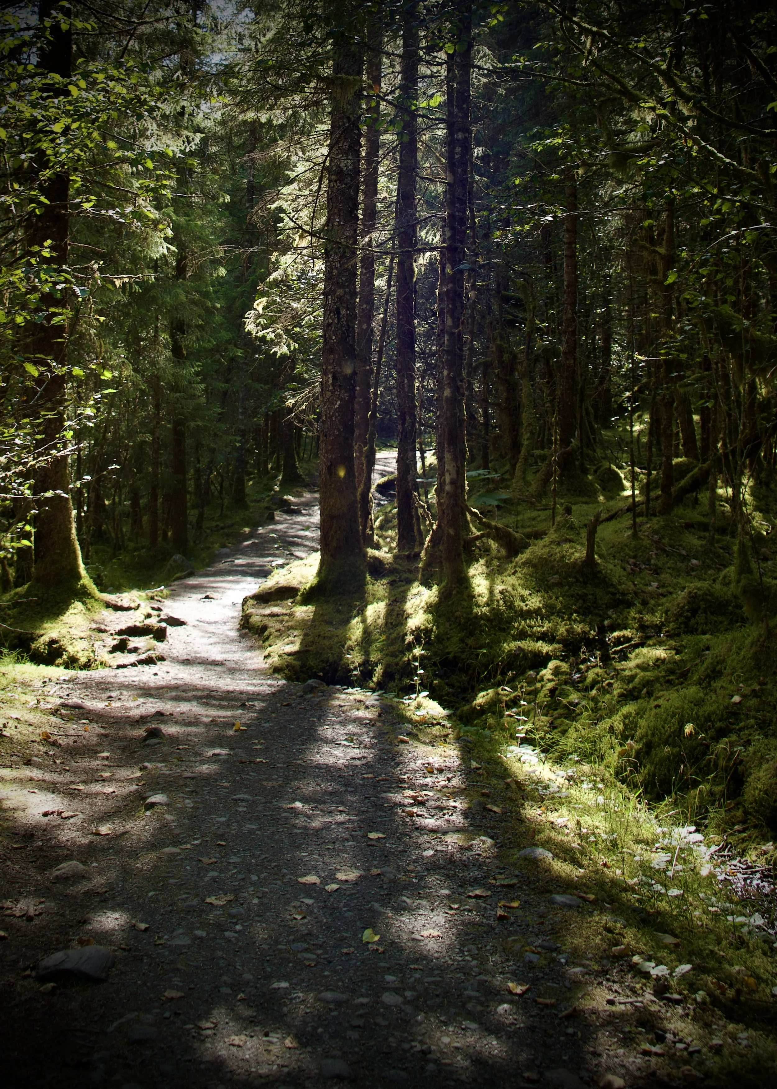 Hiking in Juneau, AK