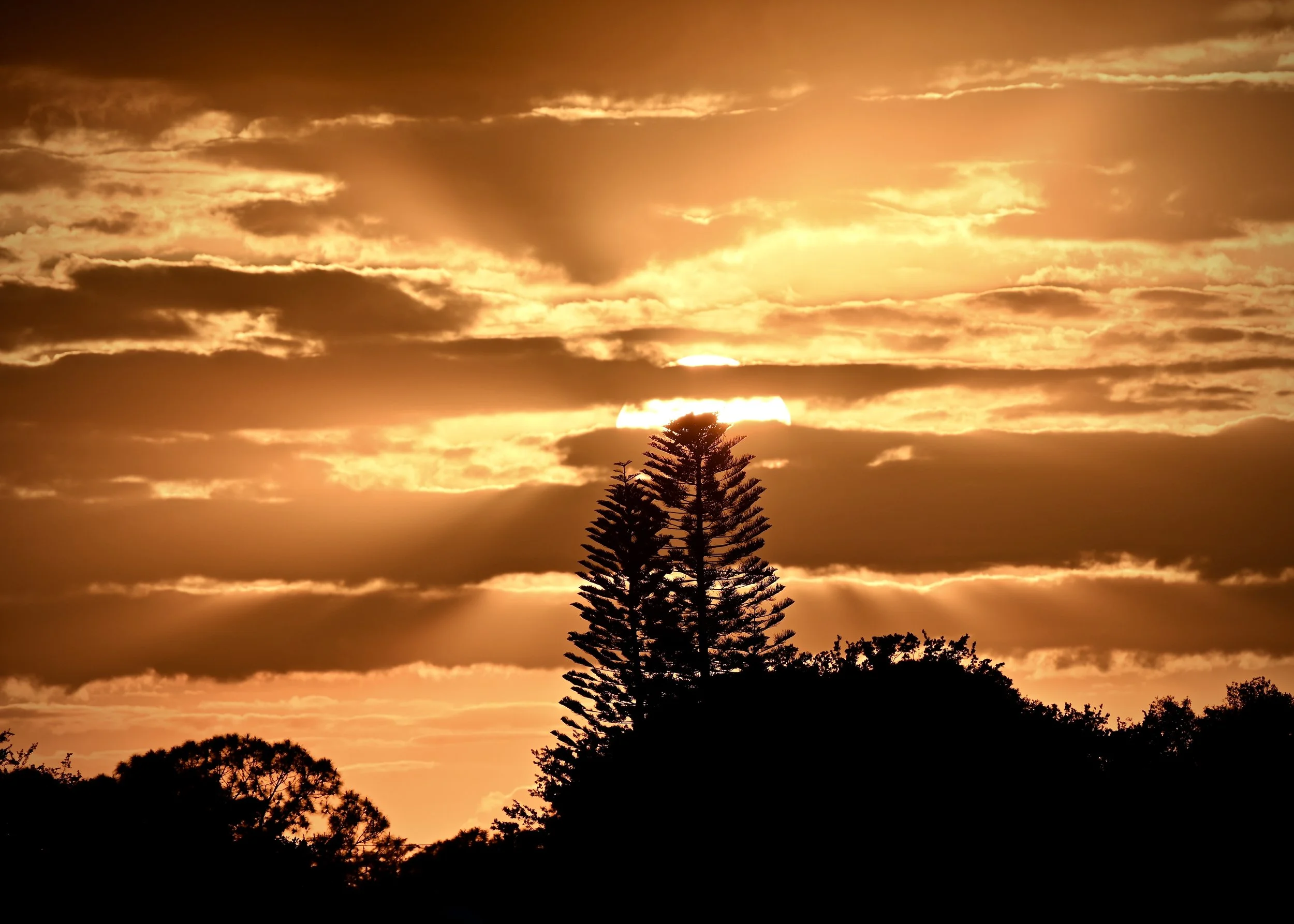 Backyard sunset